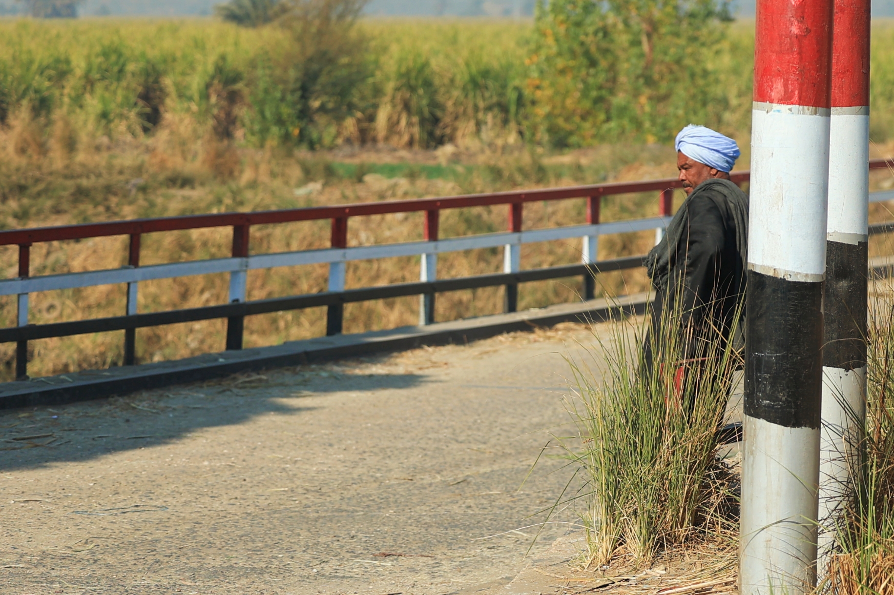 F. Z./N1 - Ulice Egipta od Hurghade do Luxora