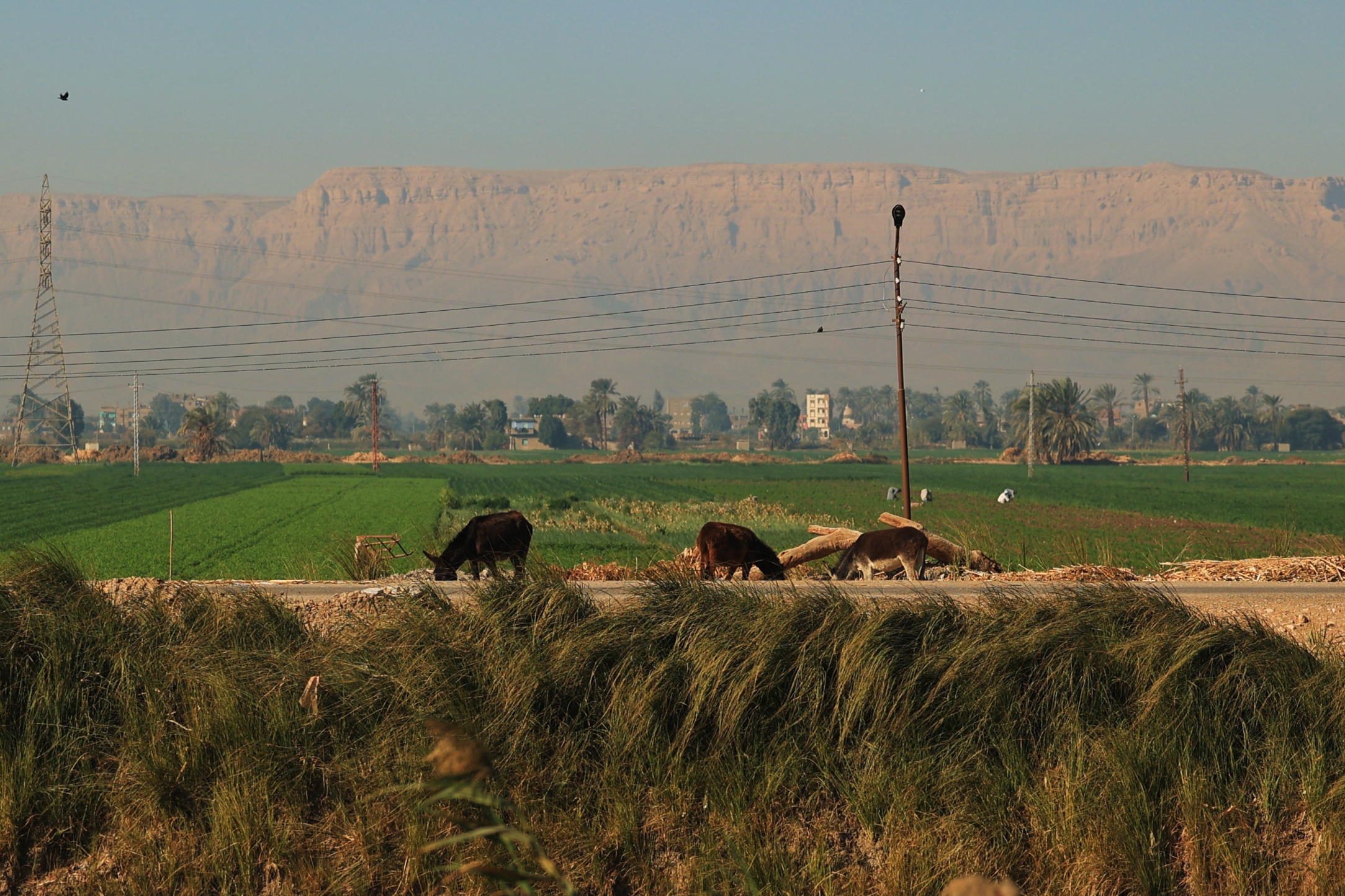 F. Z./N1 - Ulice Egipta od Hurghade do Luxora