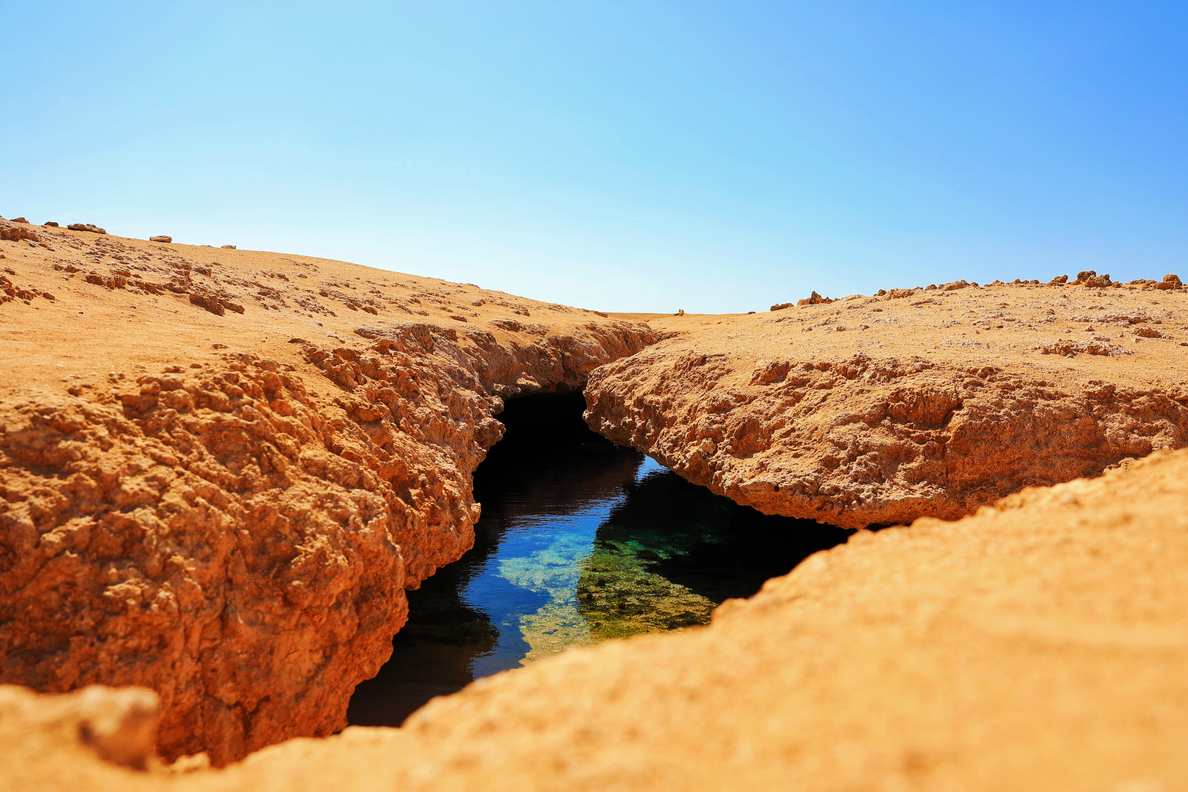 F. Z./N1 - Nacionalni park Ras Mohammad 