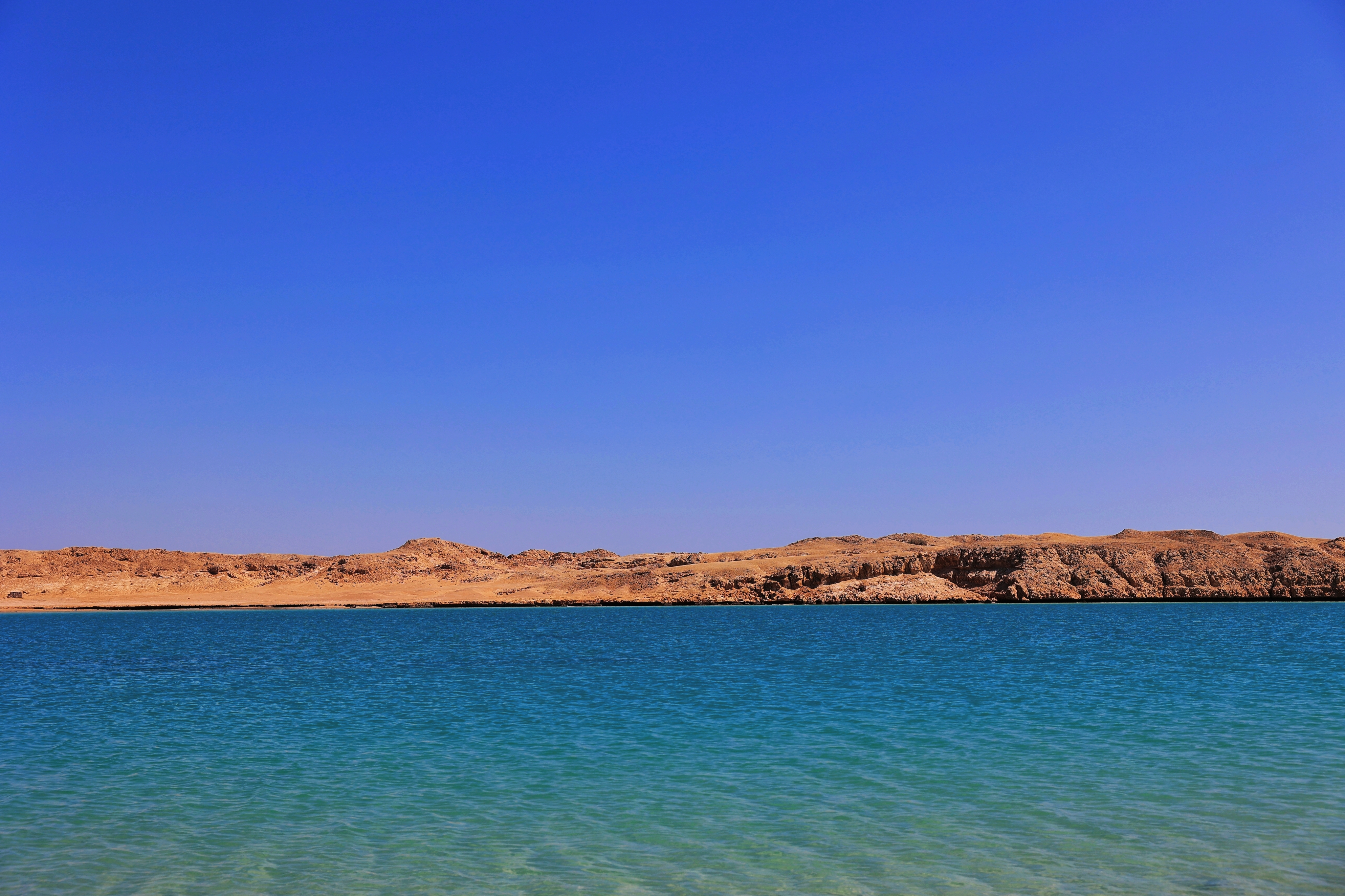 F. Z./N1 - Nacionalni park Ras Mohammad 