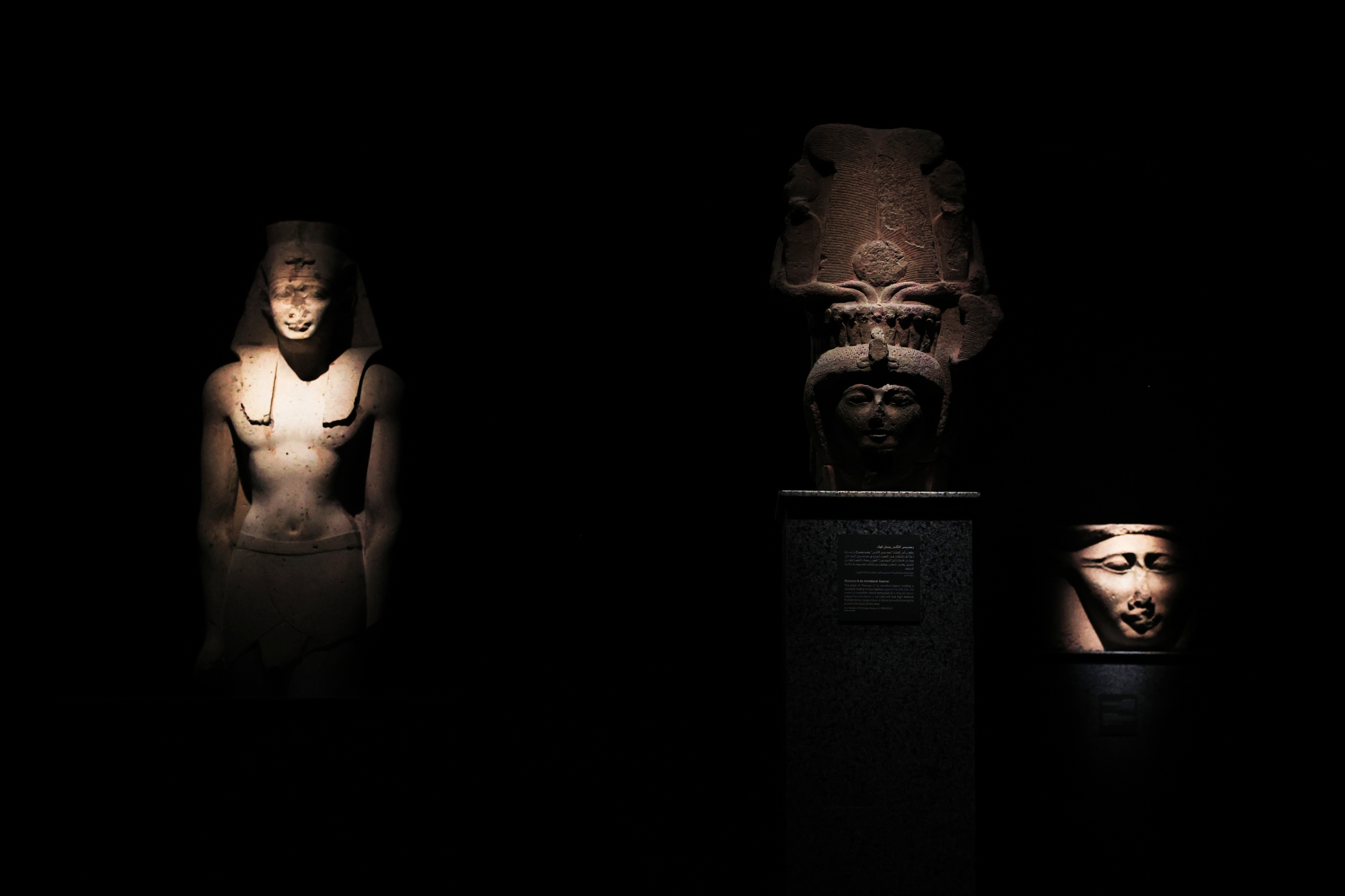 F. Z./N1 - Noć u muzeju