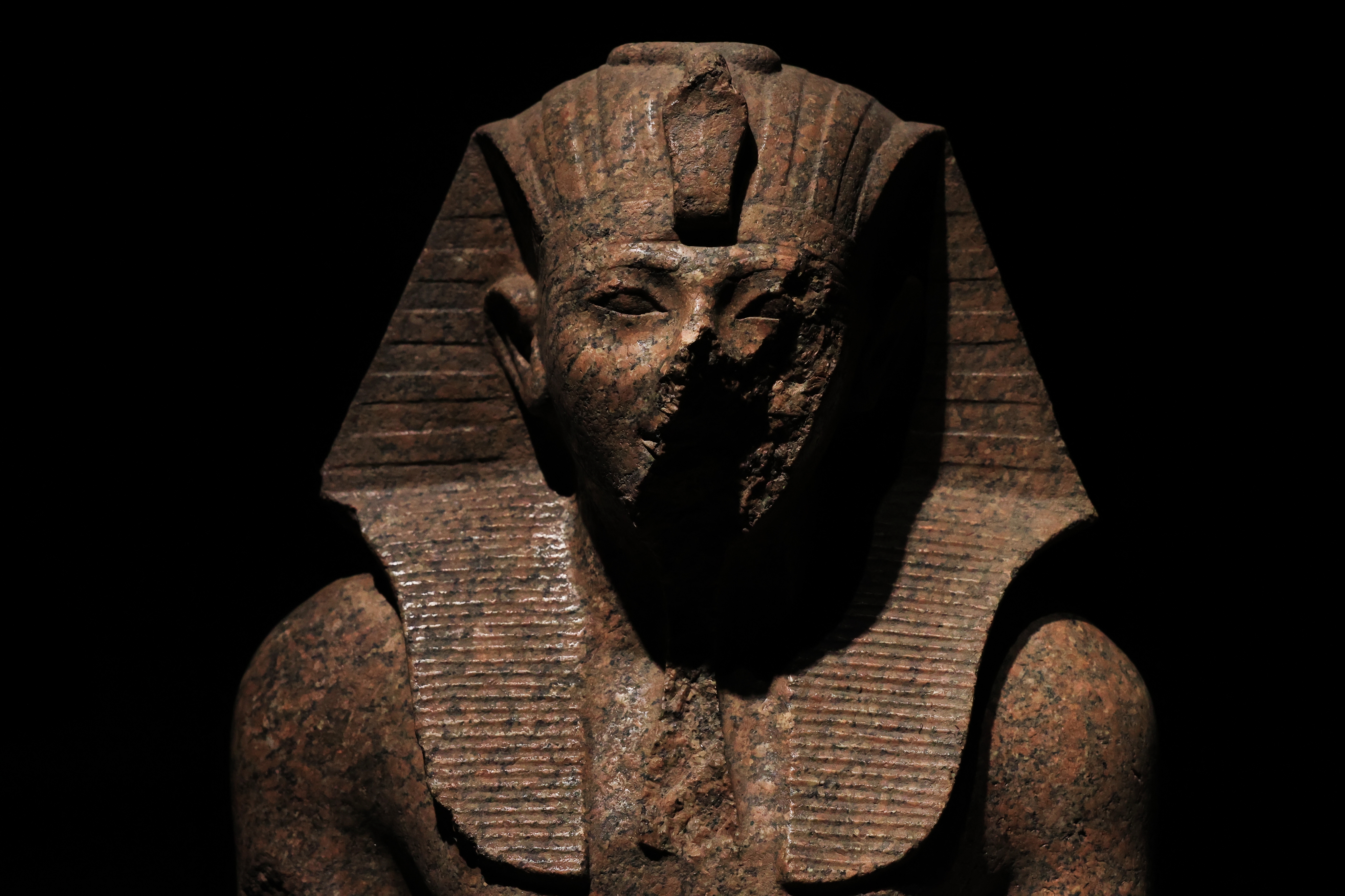 F. Z./N1 - Noć u muzeju