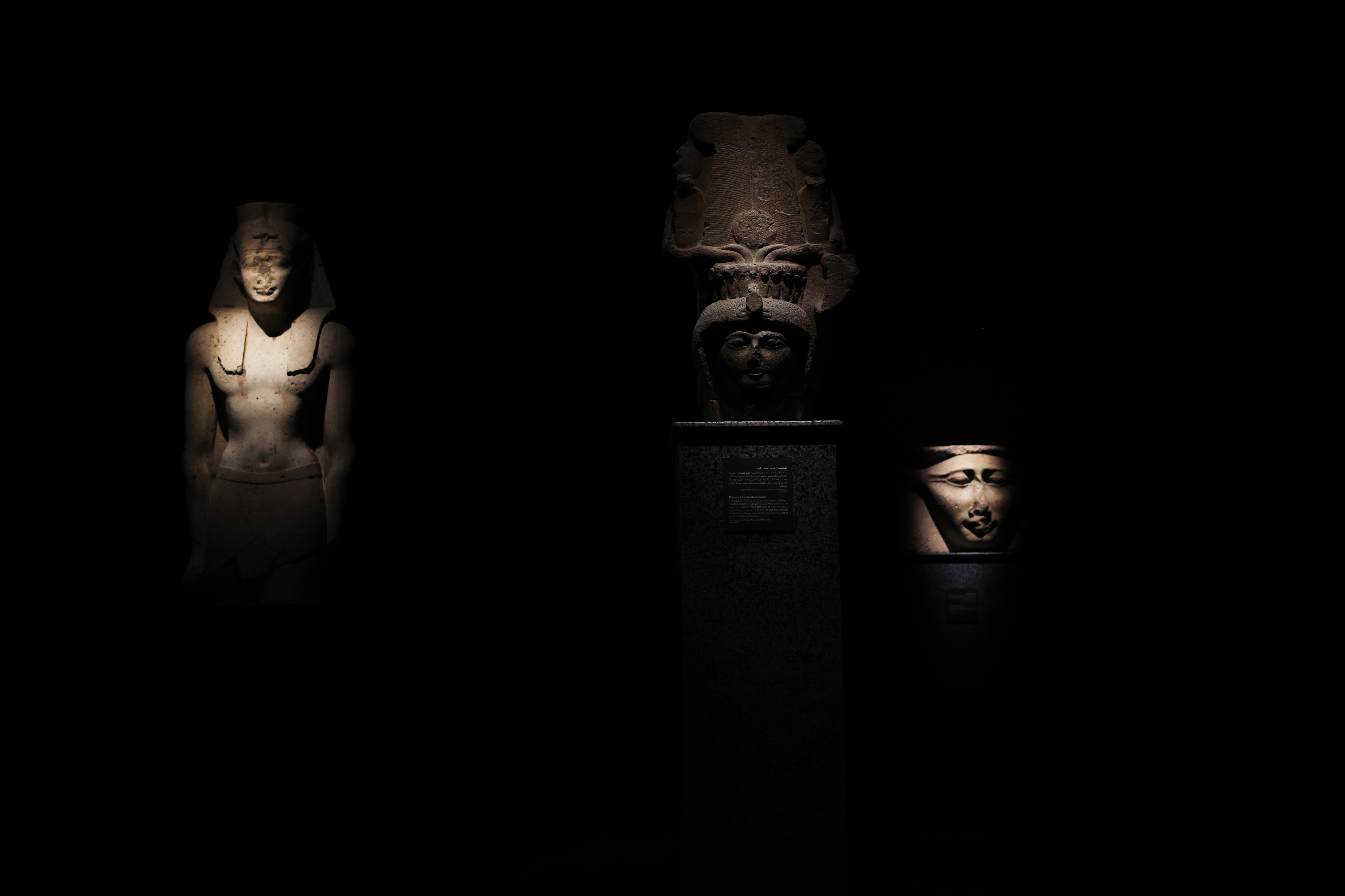 F. Z./N1 - Noć u muzeju