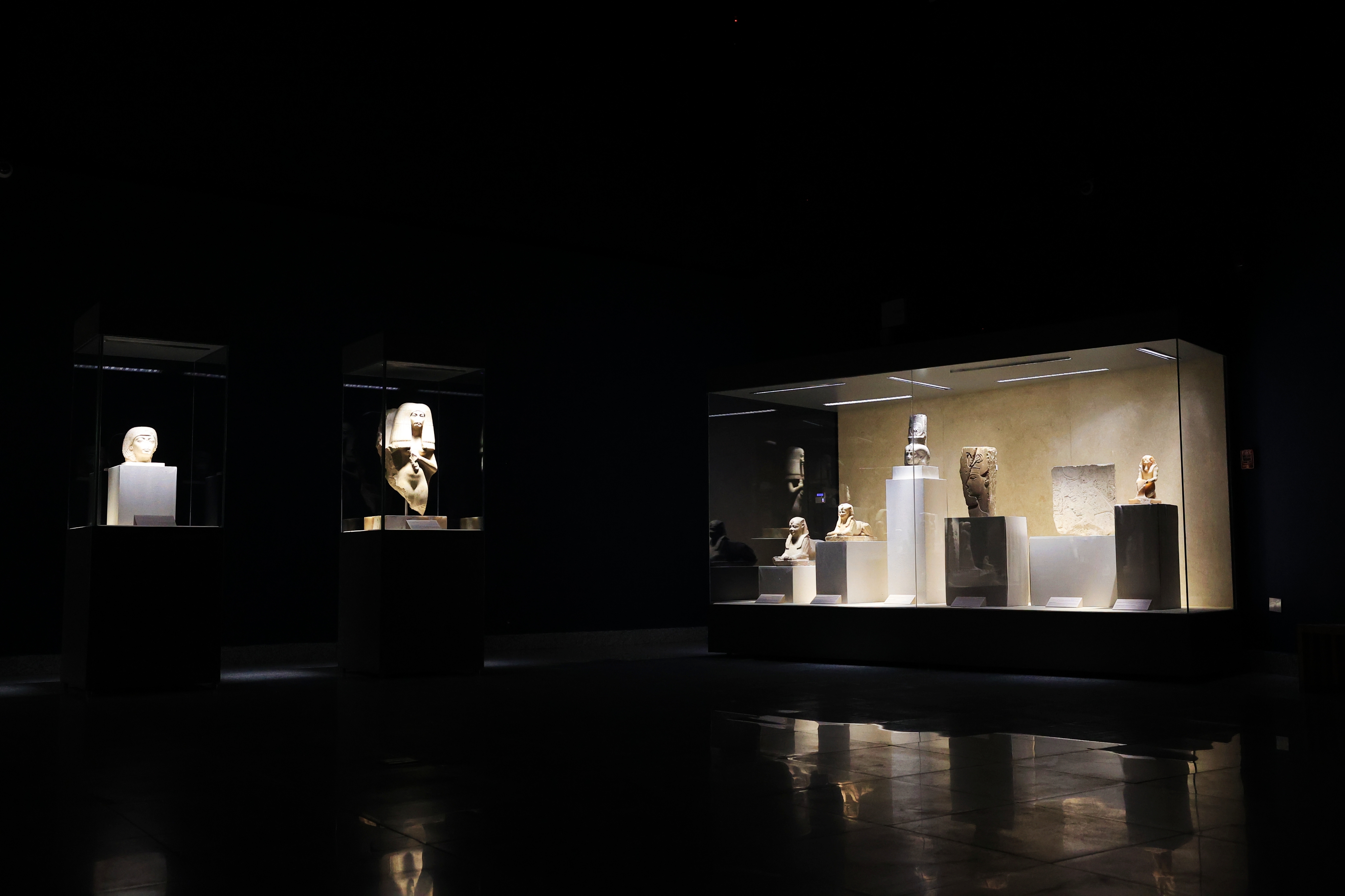 F. Z./N1 - Noć u muzeju