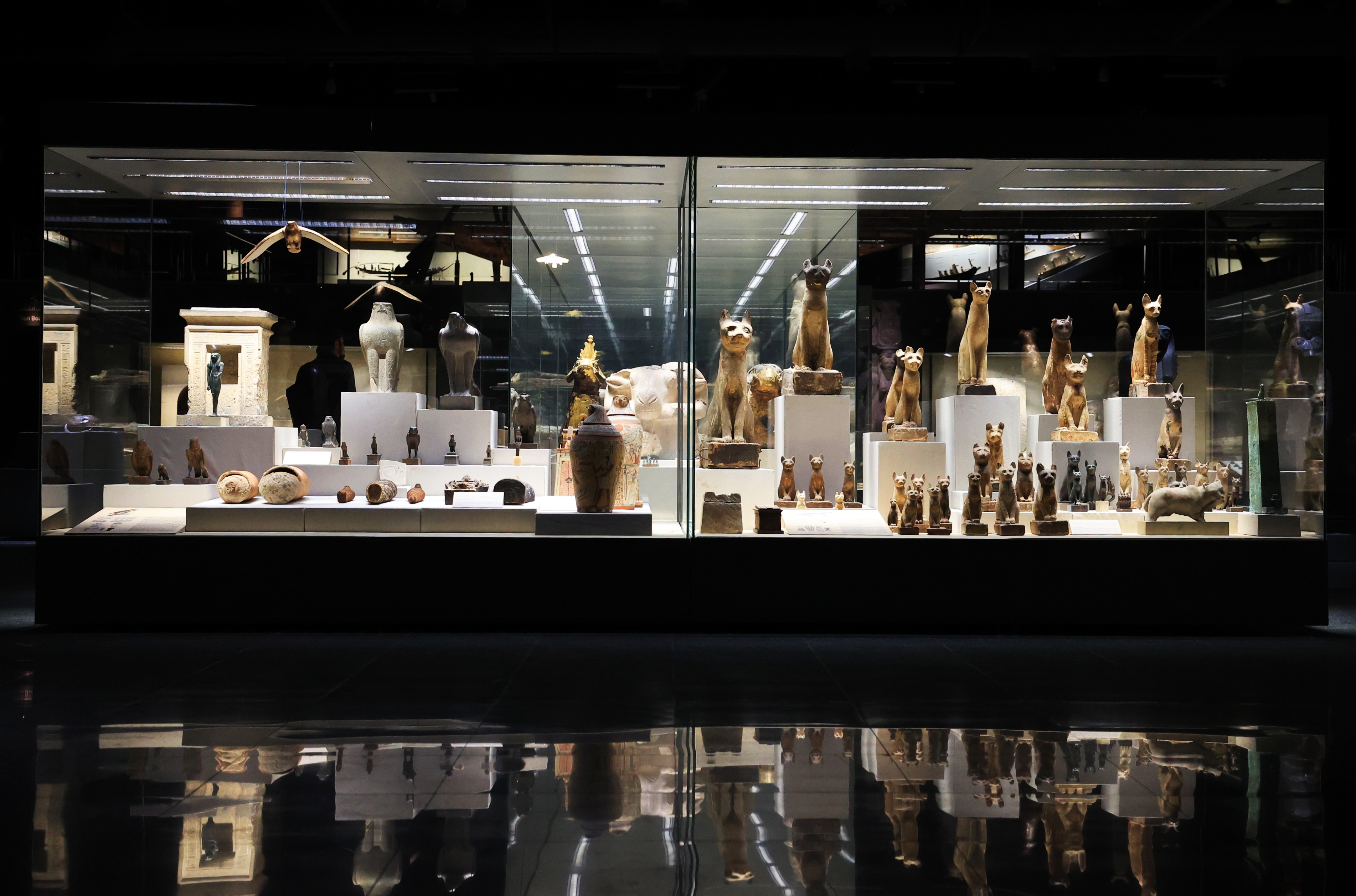 F. Z./N1 - Noć u muzeju