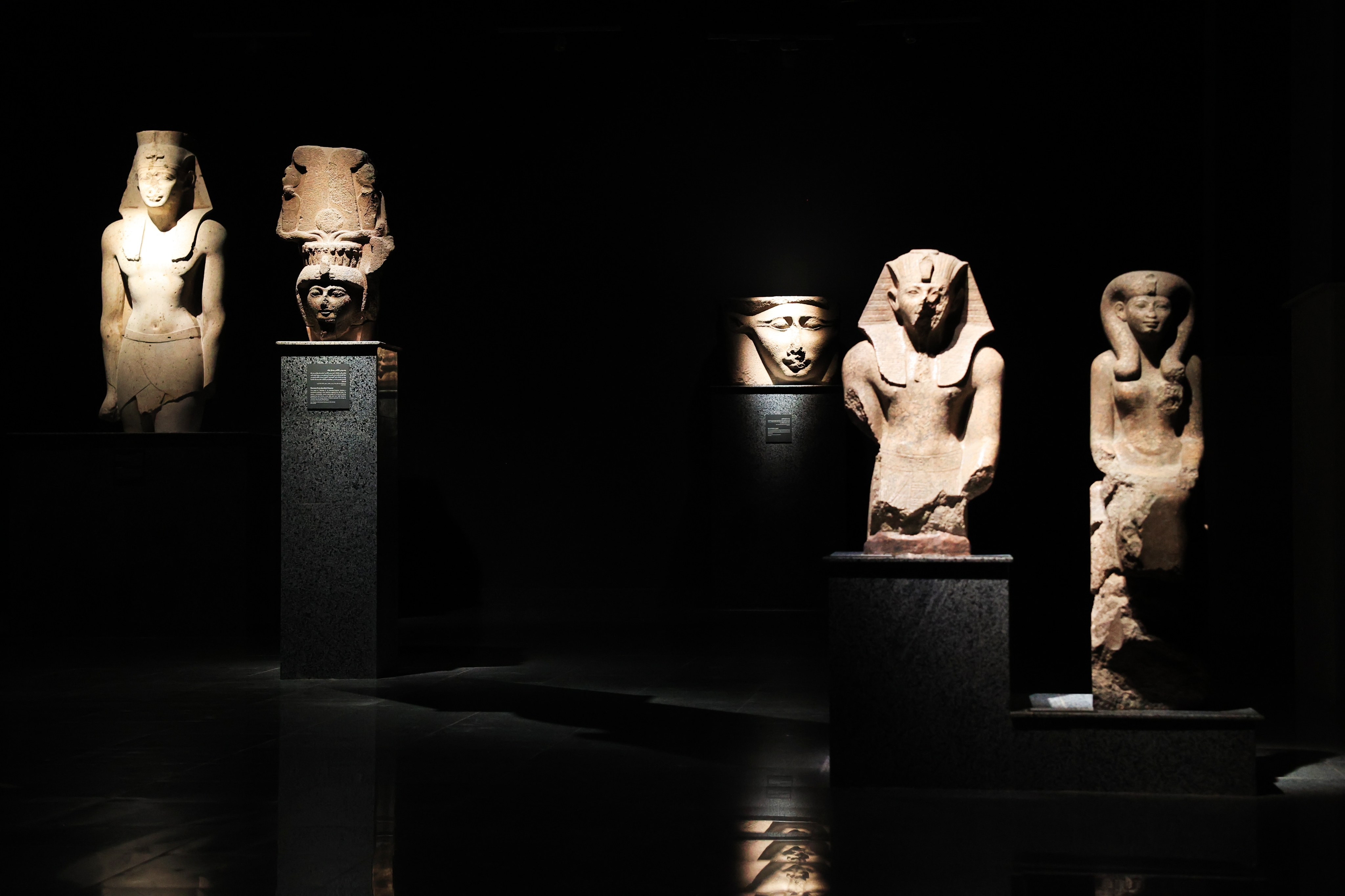 F. Z./N1 - Noć u muzeju