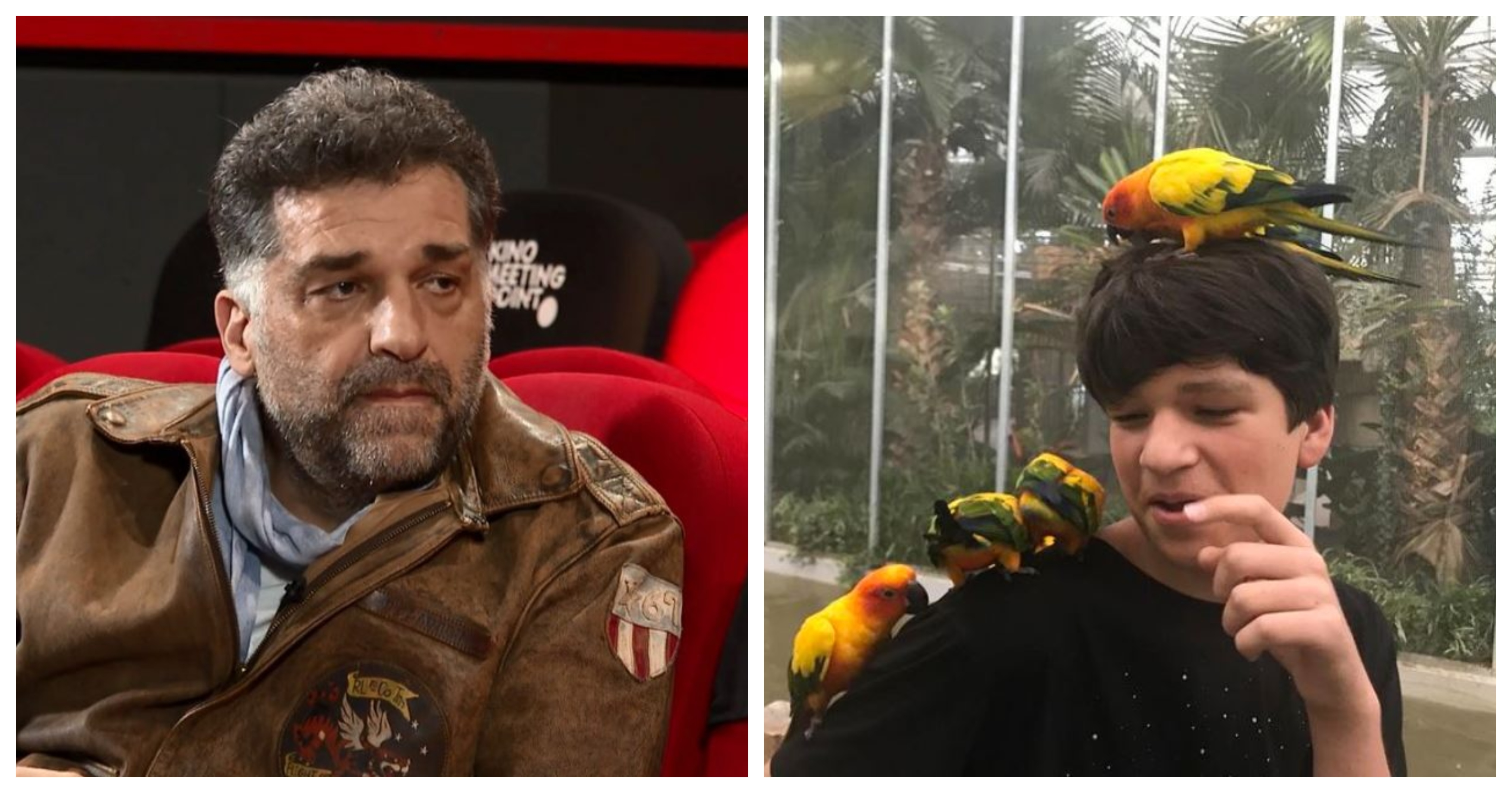 BeFunky-collage (10)