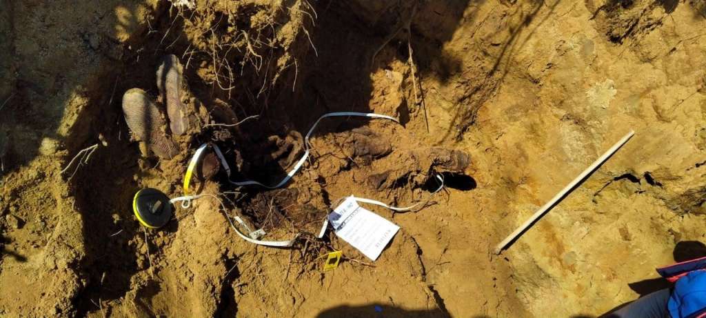 l_06f11ada783a18b13f5d3852ee974ee3