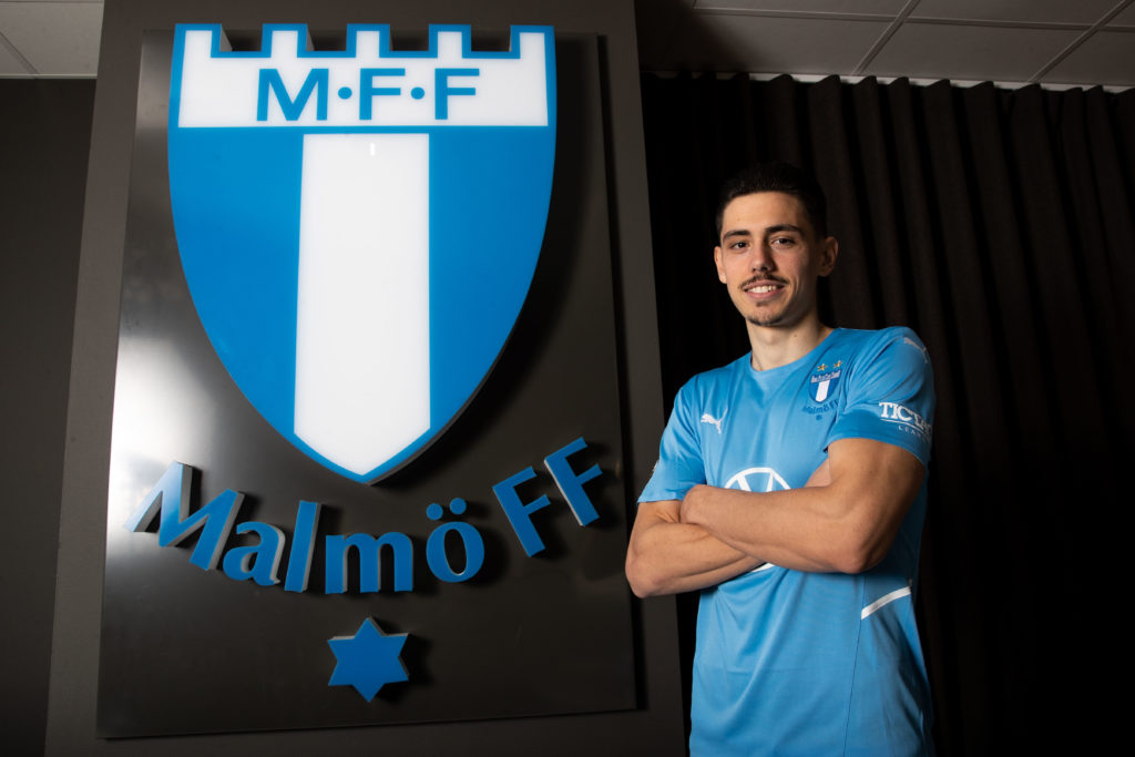 Fotboll, Allsvenskan, Malmö FF, Dennis Hadzikadunic, Porträtt