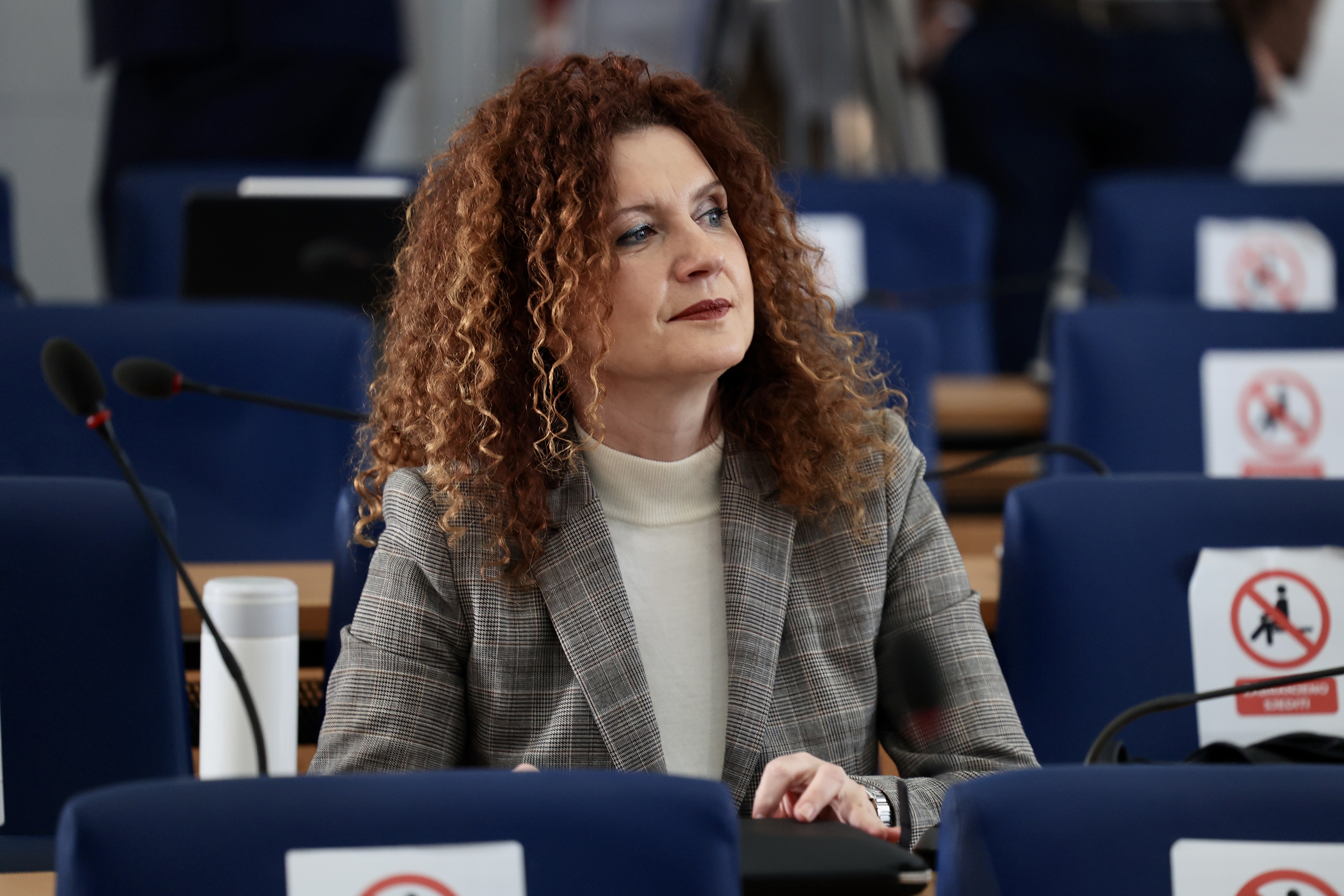 skupstina ks segmendina srna