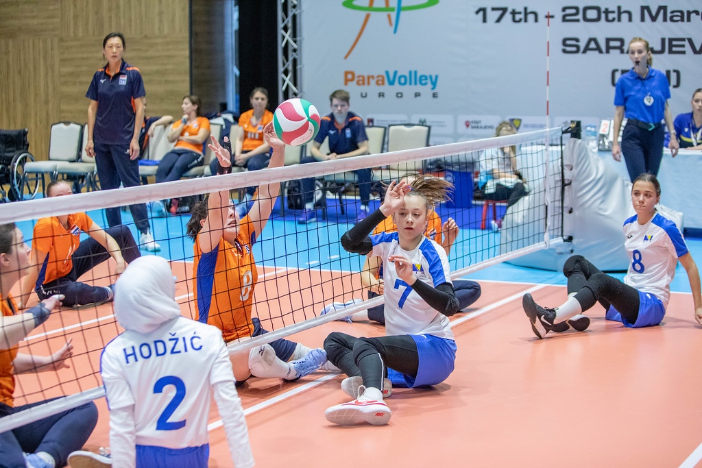 51946017020_465e1f9788_b