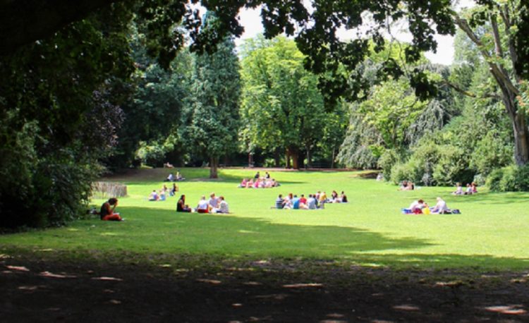 1647600363-shutterstock_1413545114-1-750x458