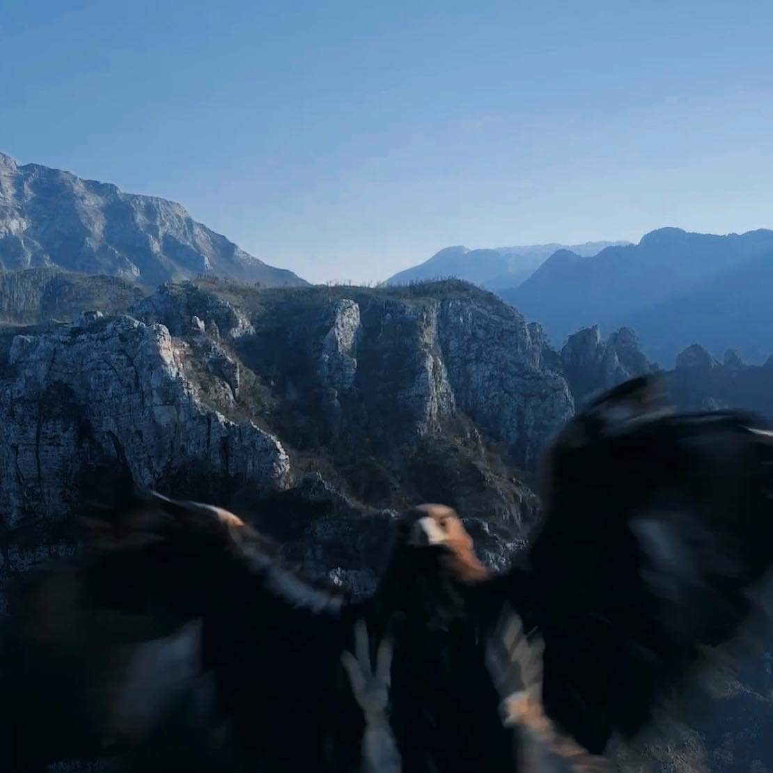 thumbnail_7C4A02D1-05D3-4AD6-ACEC-3B3DC79B5D61