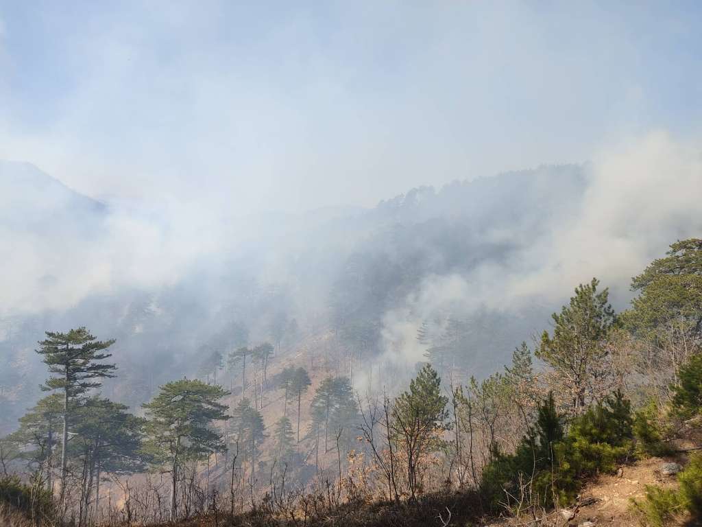 požar l_e997ca22ca31c33dfd9c0edfdd9e432b