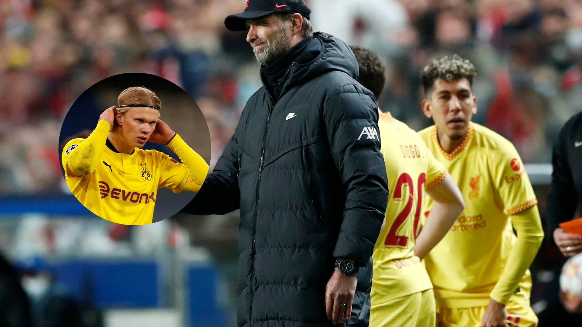 Erlind Haaland Jurgen Klopp