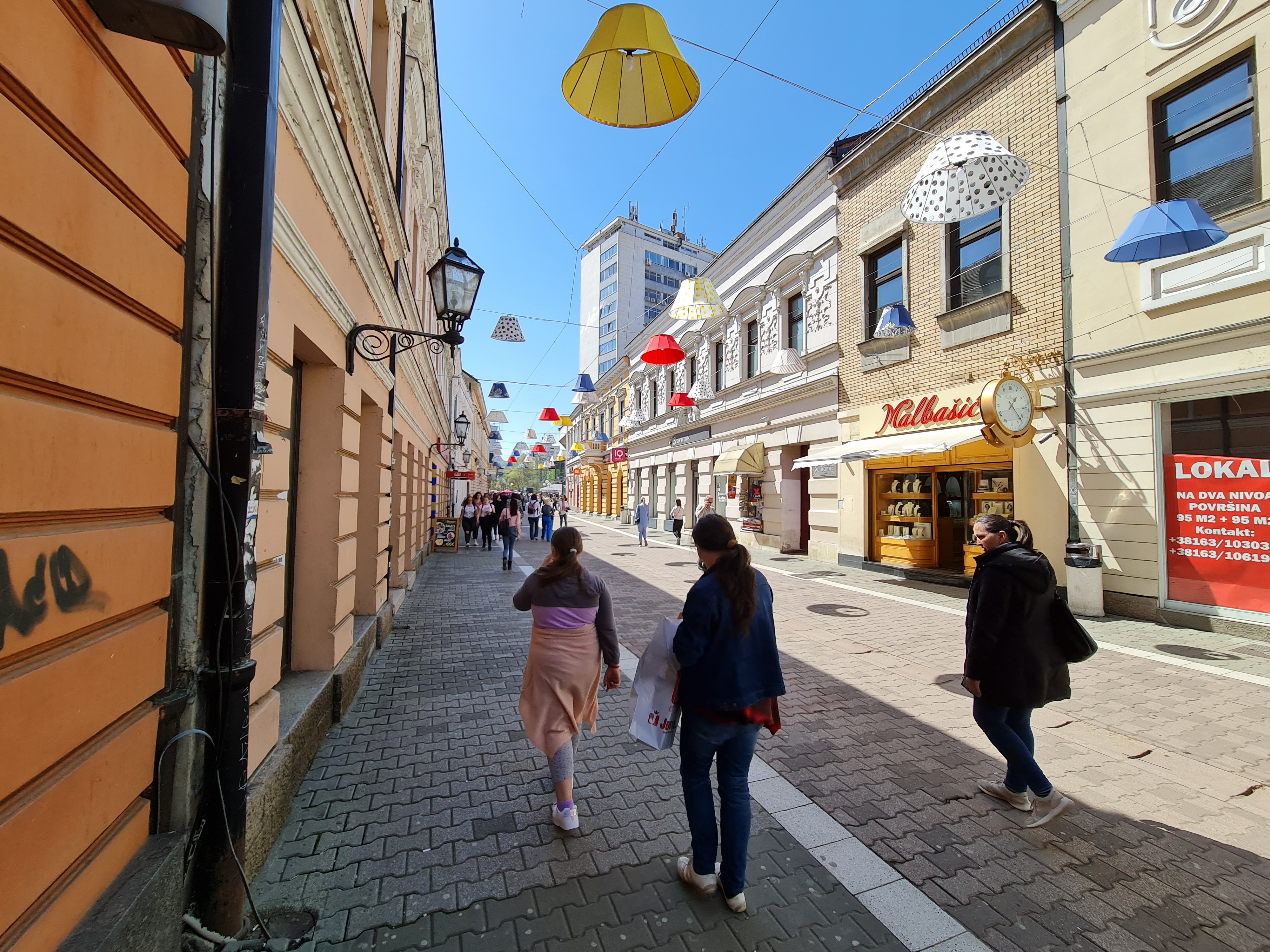 banjaluka cvijece (10)