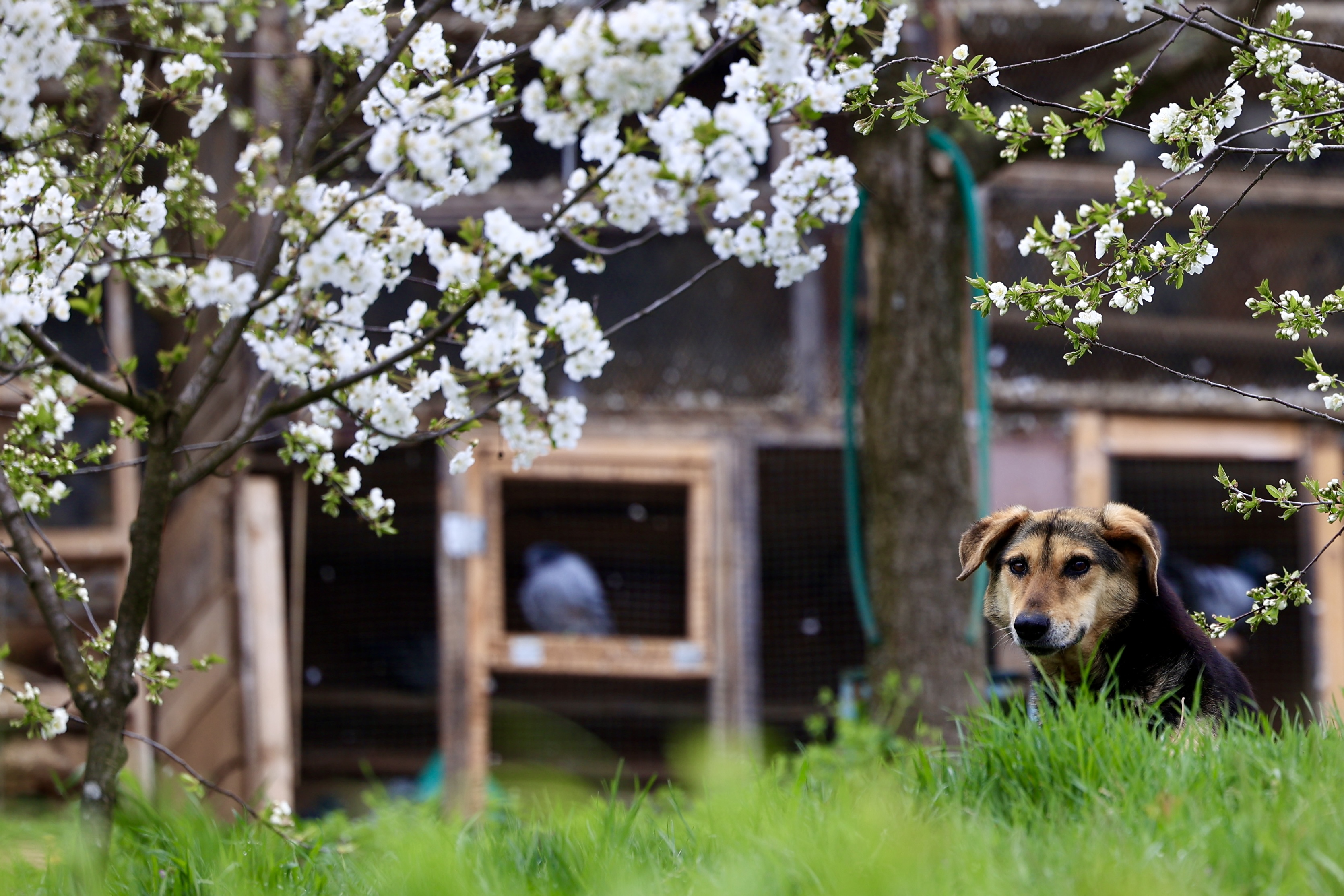 Međunarodni-dan-planete-zemlje10