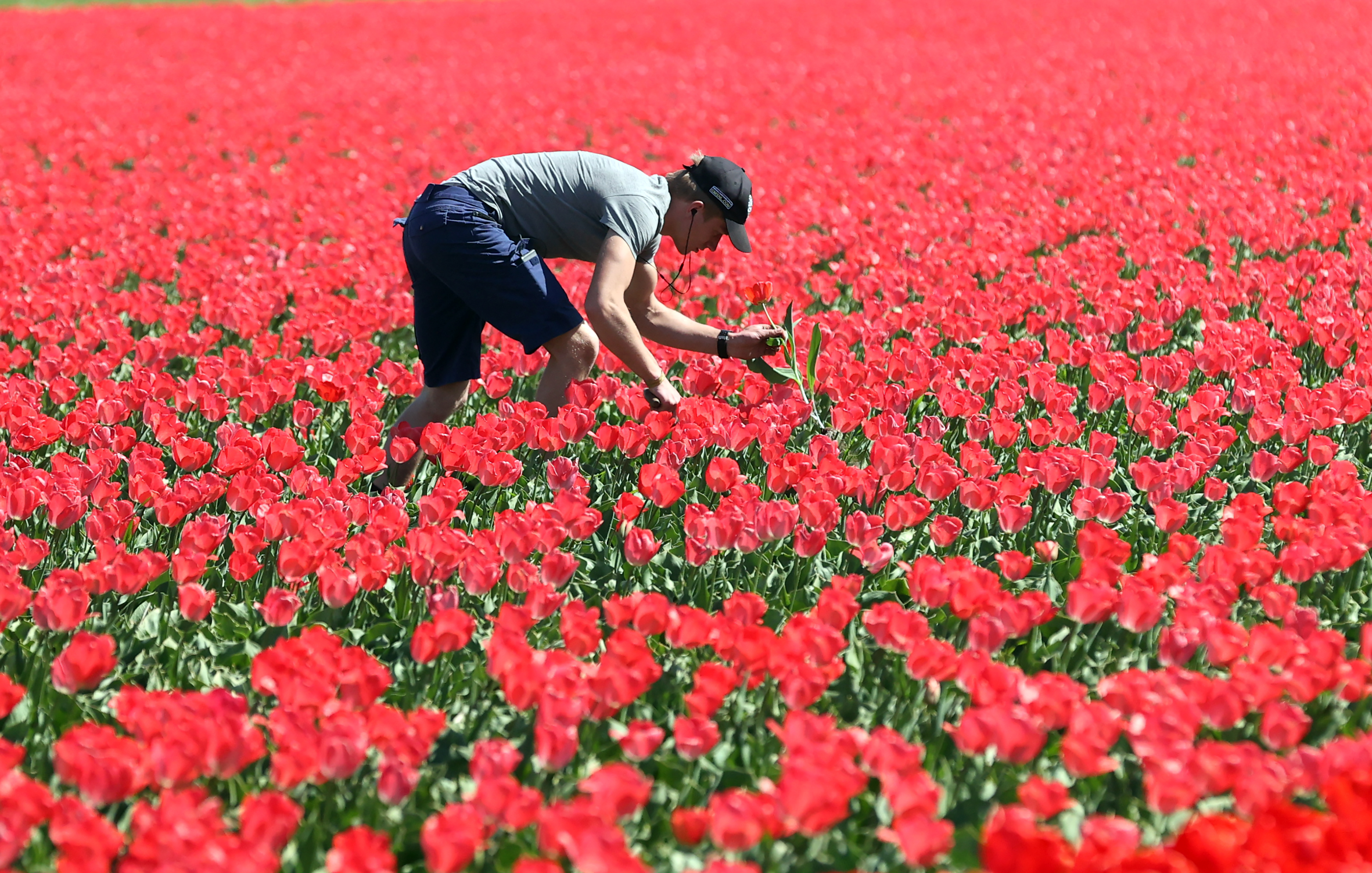 Anadolija / Dursun Aydemir