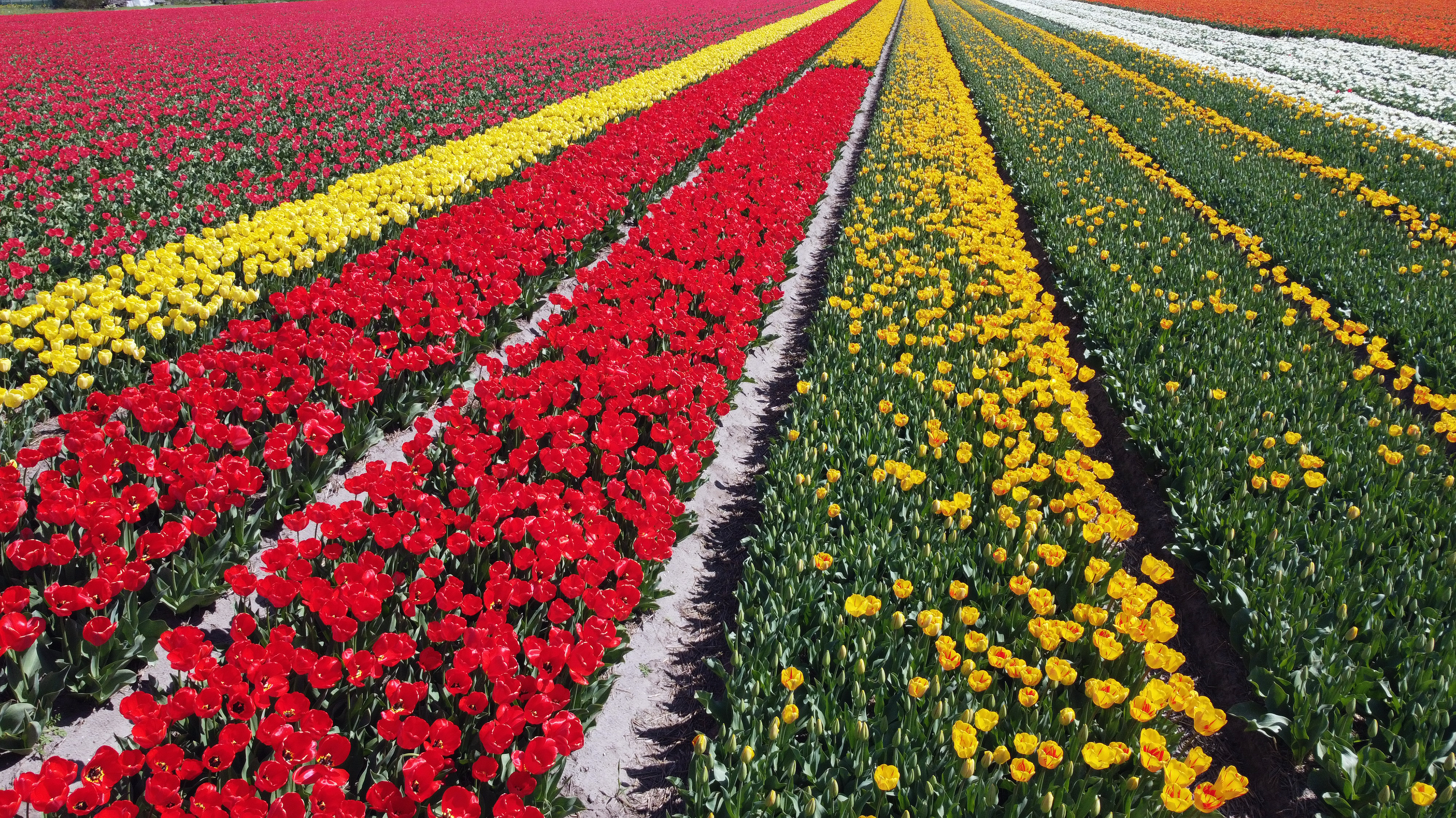 Anadolija / Dursun Aydemir