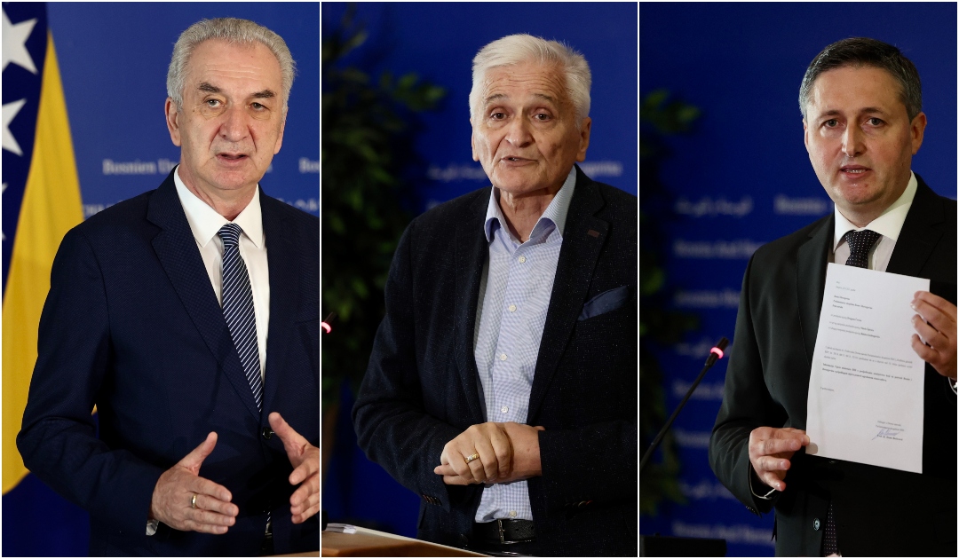 becirovic spiric sarovic