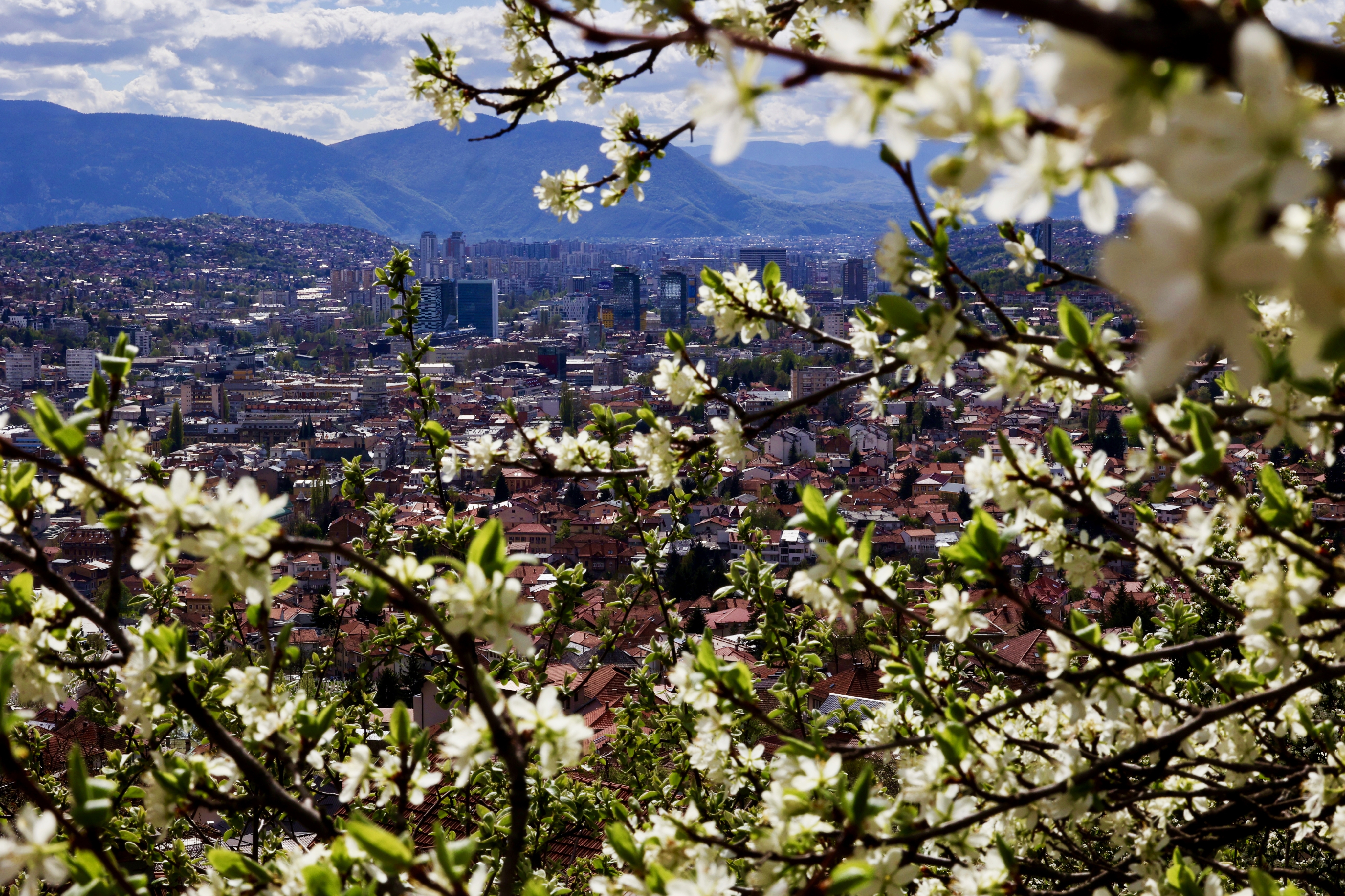 proljeće, behar, vrijeme