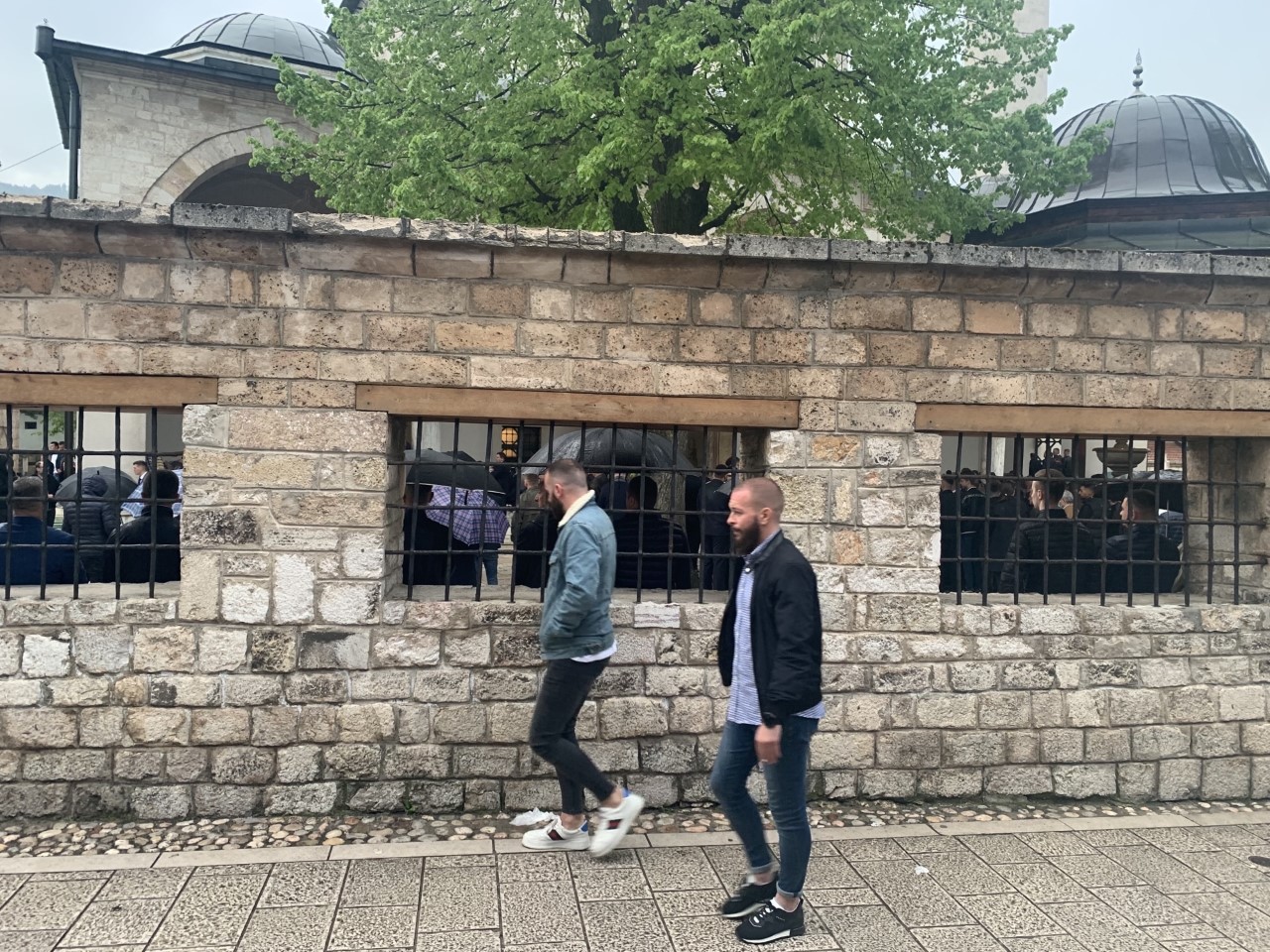 begova-6-thumbnail_Image