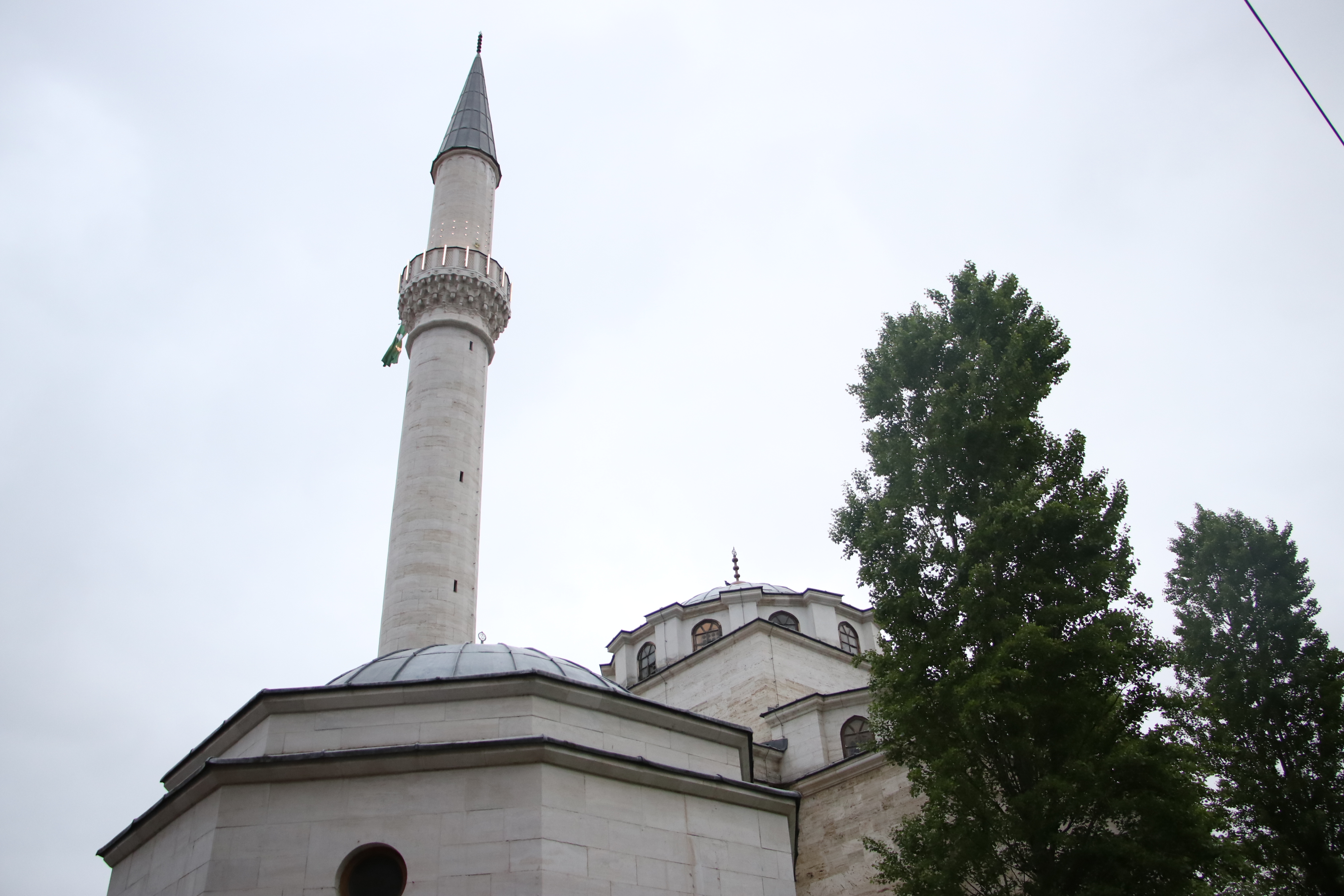 Miomir Jakovljević/Anadolija