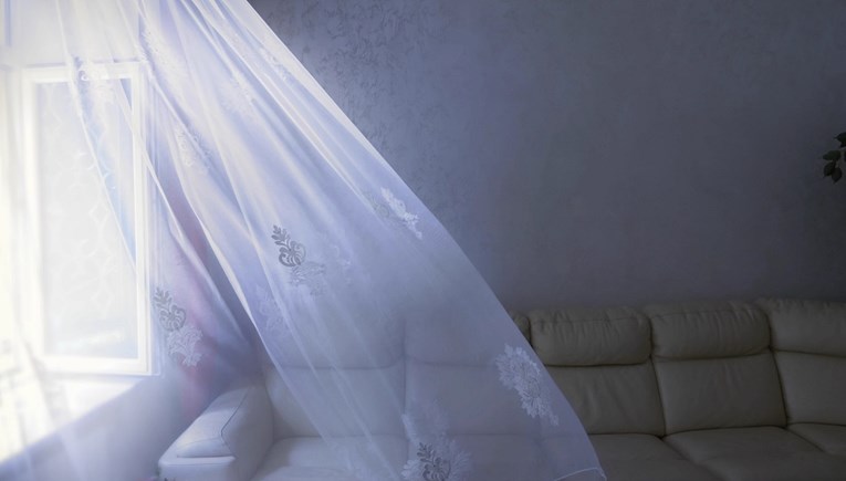 propuh-45e35d25-cb5d-4fe2-85c5-3de0566317d7