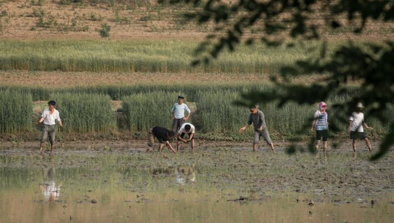 1651735586-000_PH4HT-scaled-e1651735617179-768x434