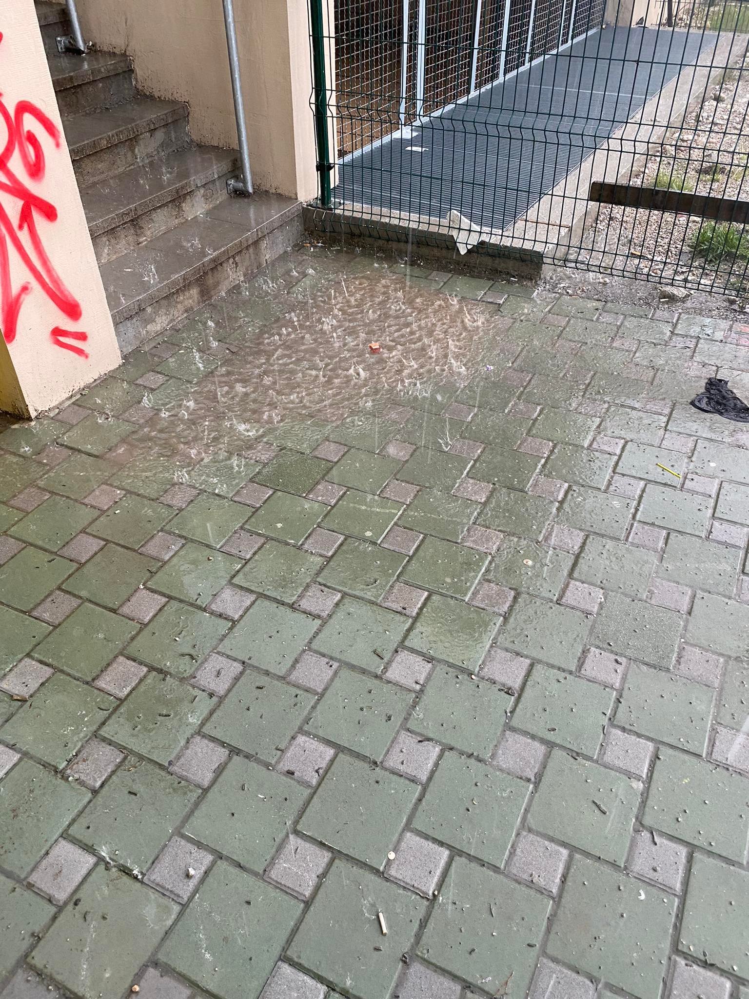 279768733_983419429203172_7512713431011515967_n