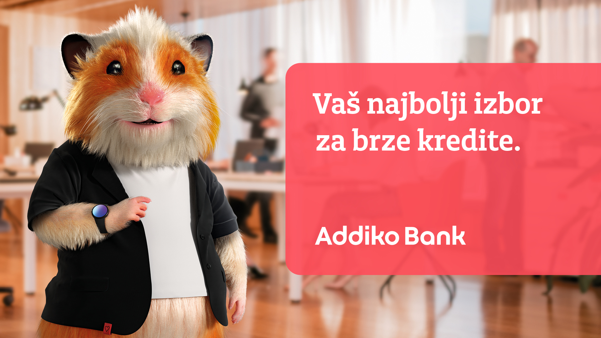 Addiko Repositioning-ABSA-1