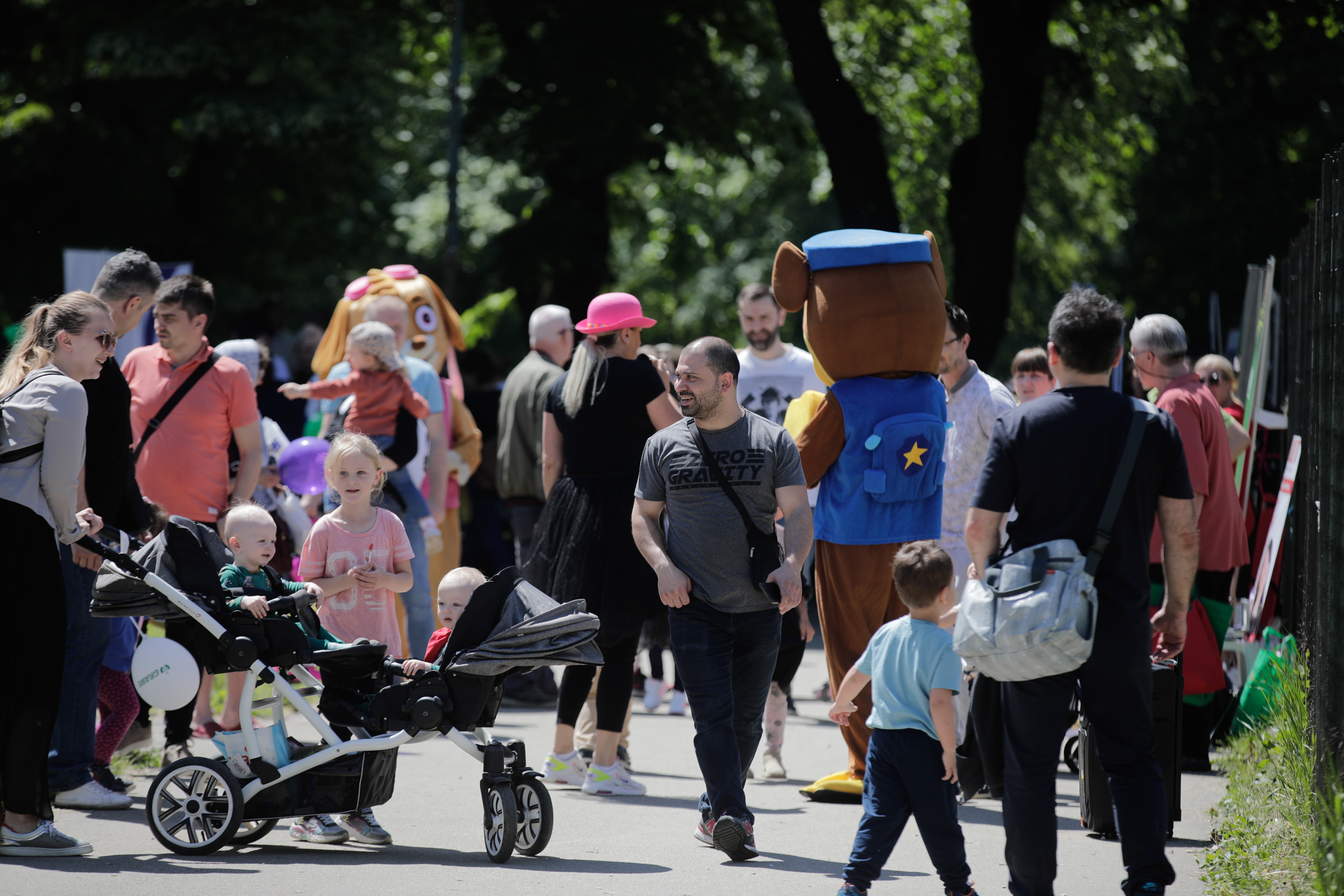 Elman Omic - Anadolu Agency