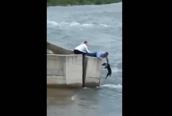 spasavanje spsa berane