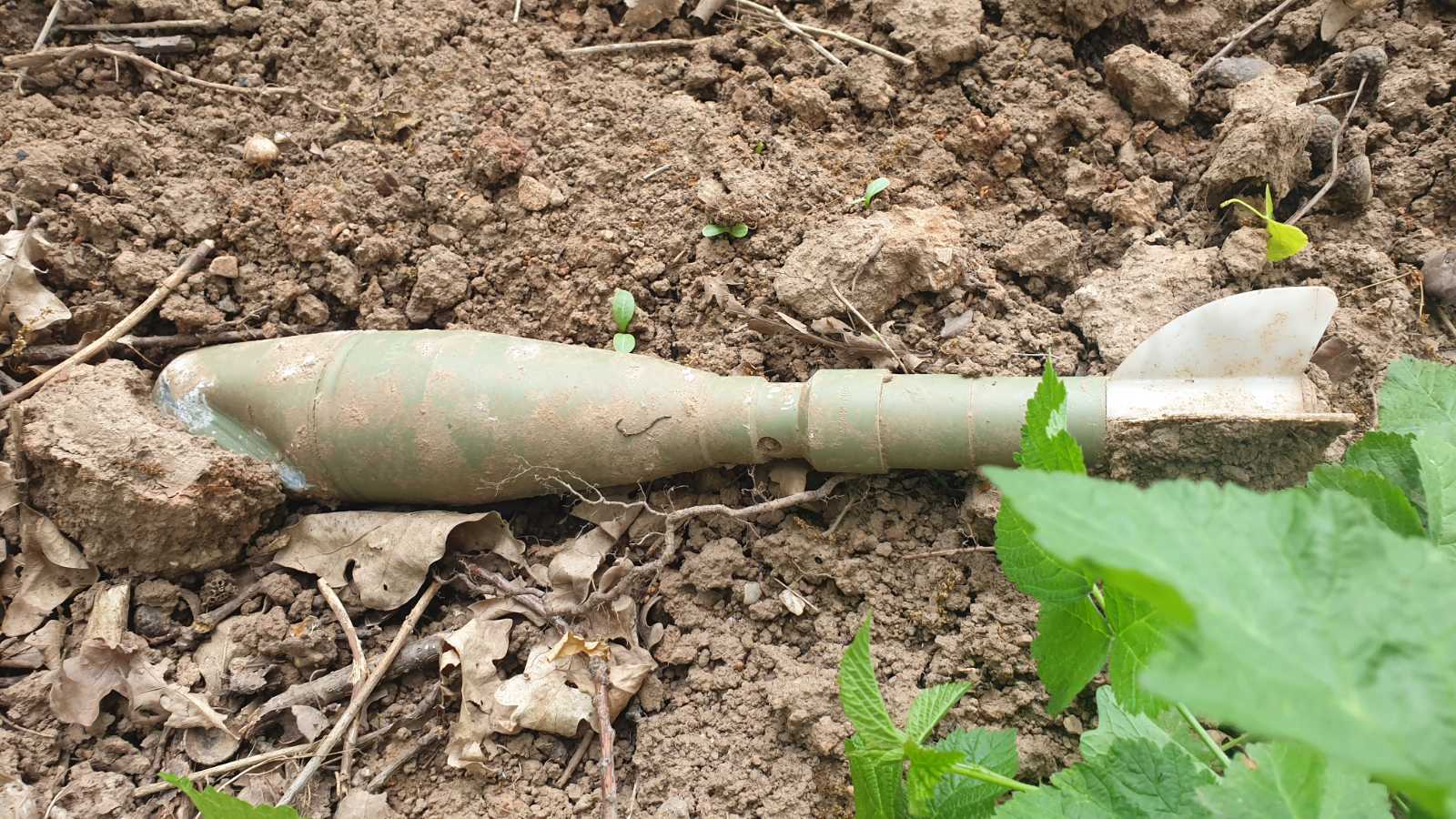 viber_image_2022-05-19_07-45-01-363