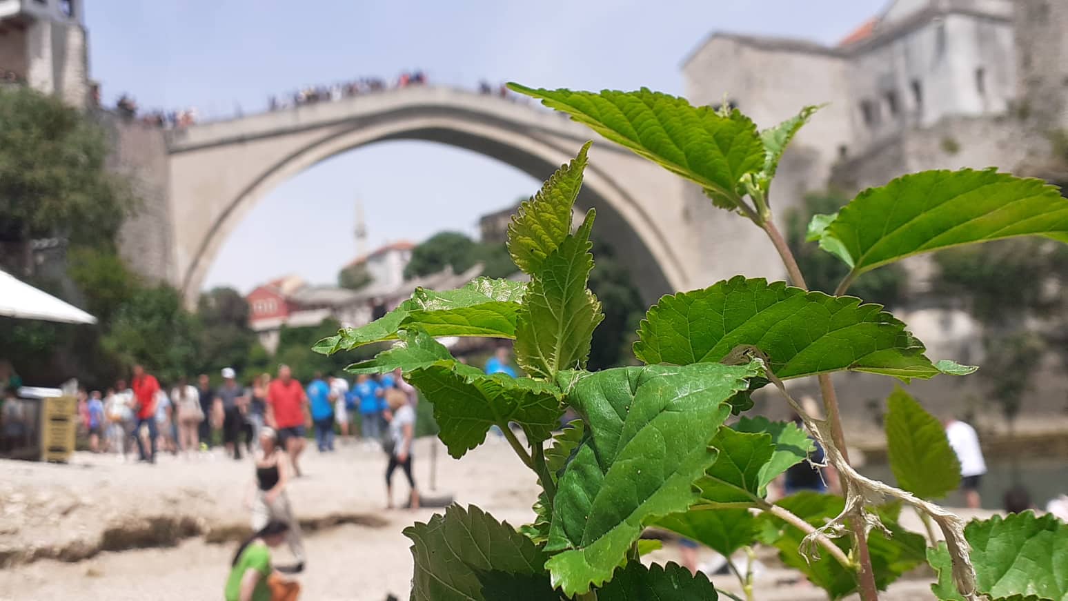 mostar-284172834_772176917141347_2434122454998195090_n