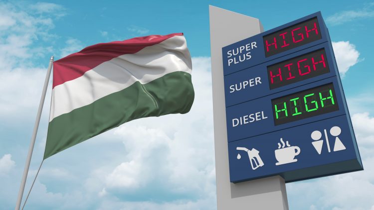 1654002289-1654001710-shutterstock_2148555797-750x422