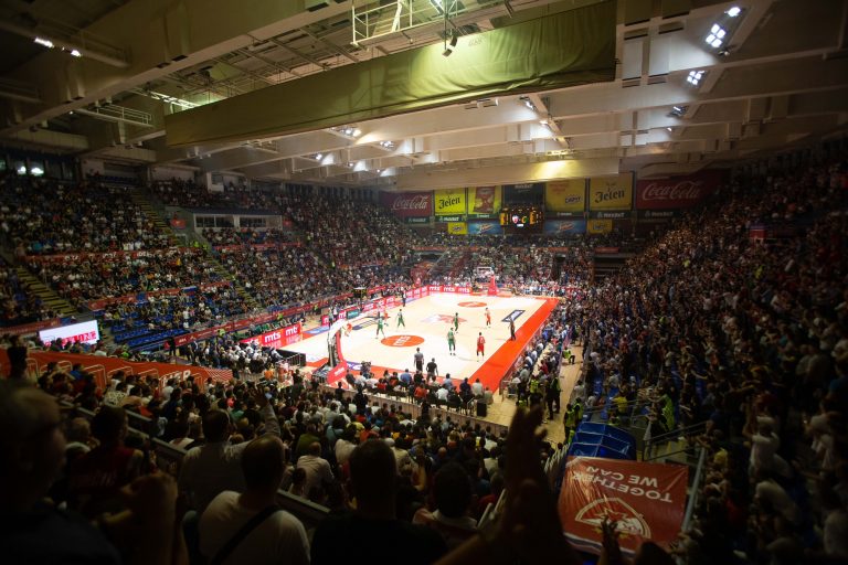 Zvezda pionir