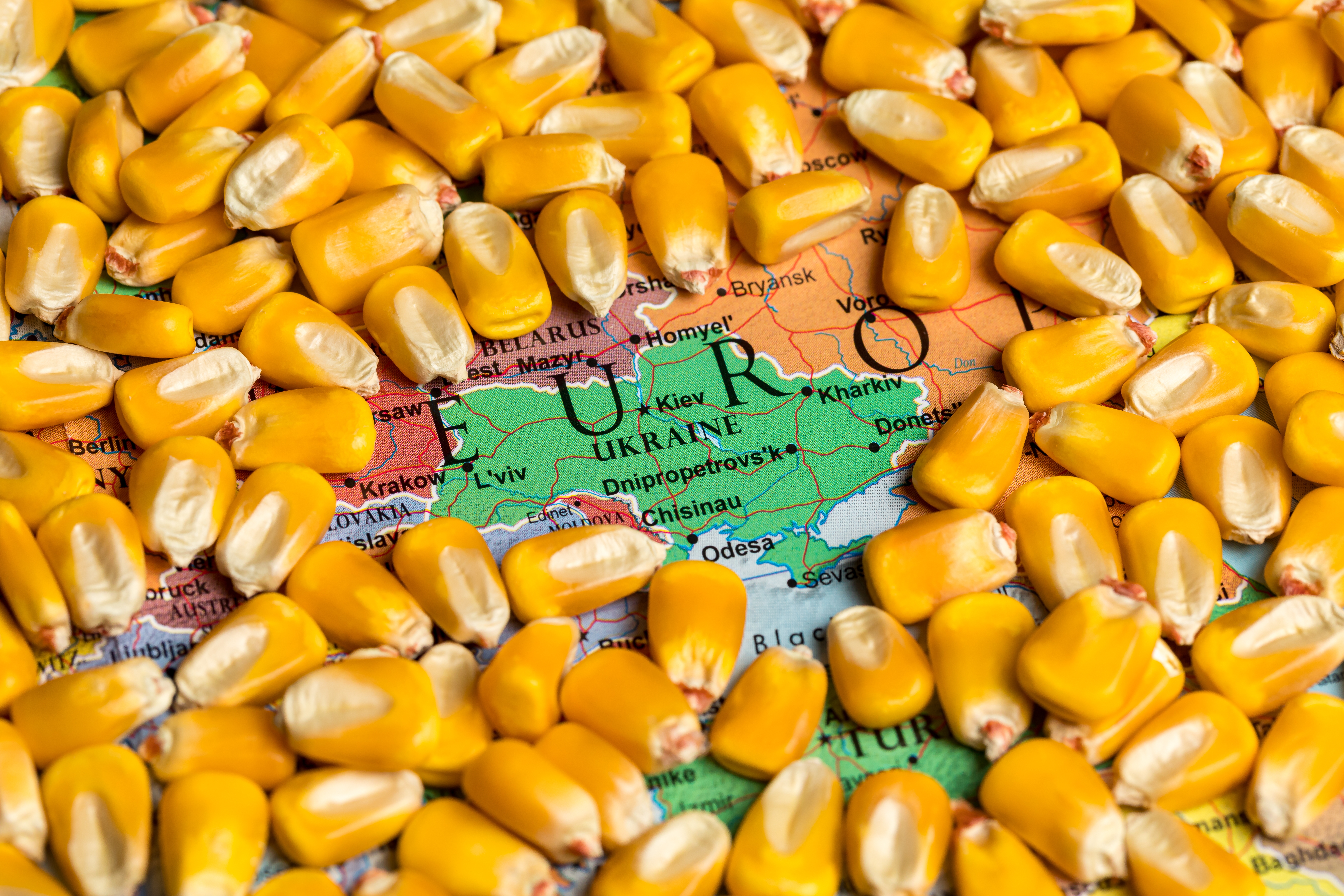 ukrajina hrana žito