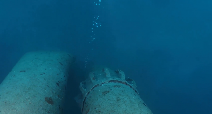 1654341520-Ivana-D-platforma-900x486