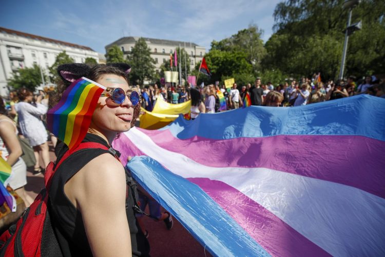 Slavko Midzor/PIXSELL