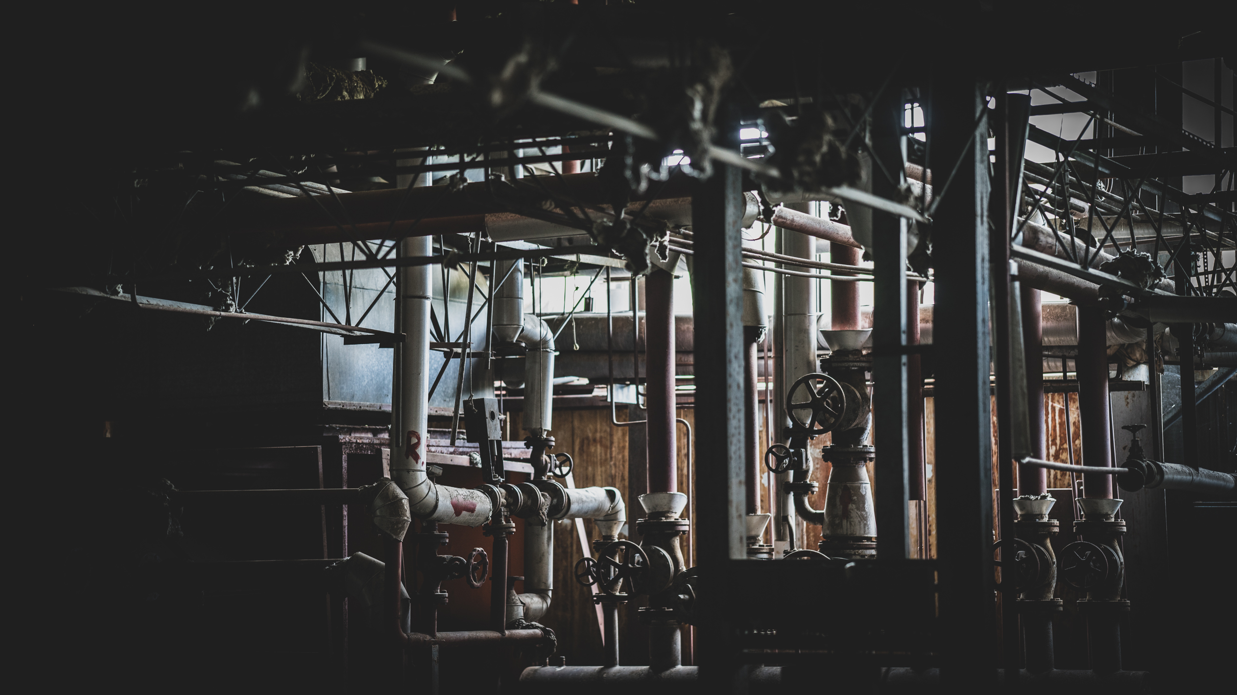 Ahmedin Đozić - Anadolu Agency