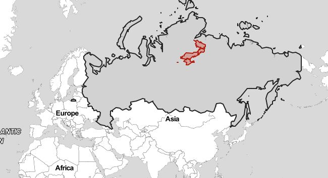 1655309336-g6.JPG