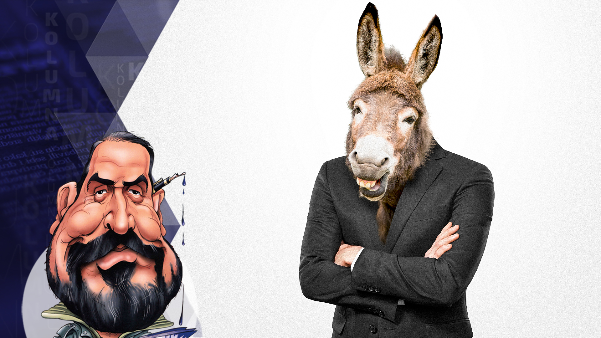 1655471518-draza-petrovic-kolumna-Otvoreno-pismo-magarcima