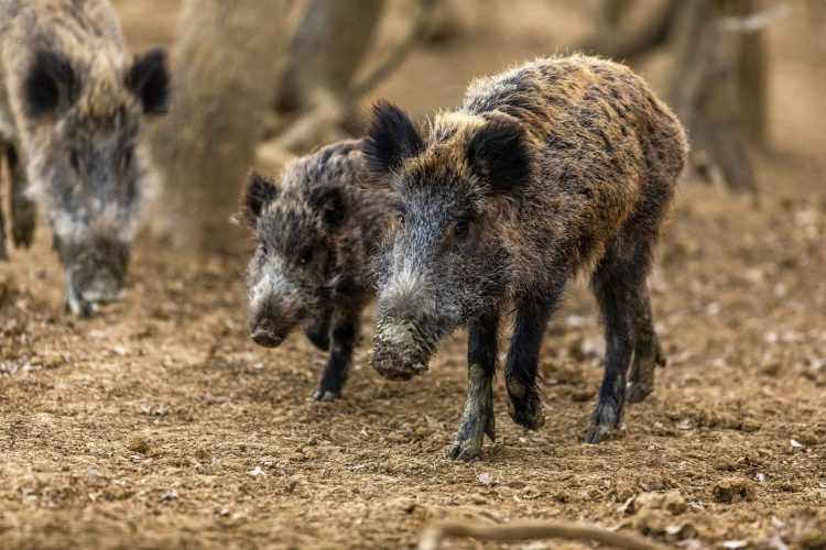 1655874167-PXL_090222_91883016-750x500