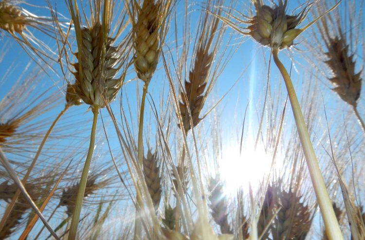 1651218354-KME20130623ZIGDSCN6011-750x494