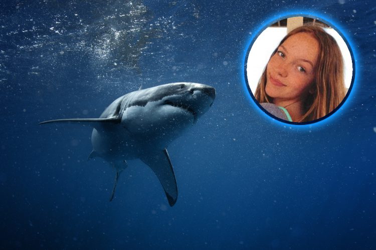 1657024784-shutterstock_239247520-copy-750x500