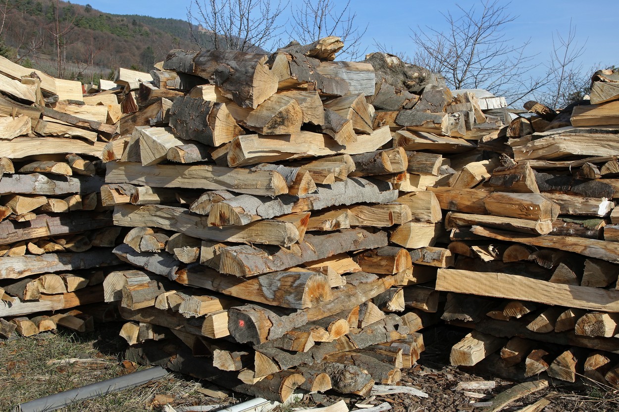 firewood
