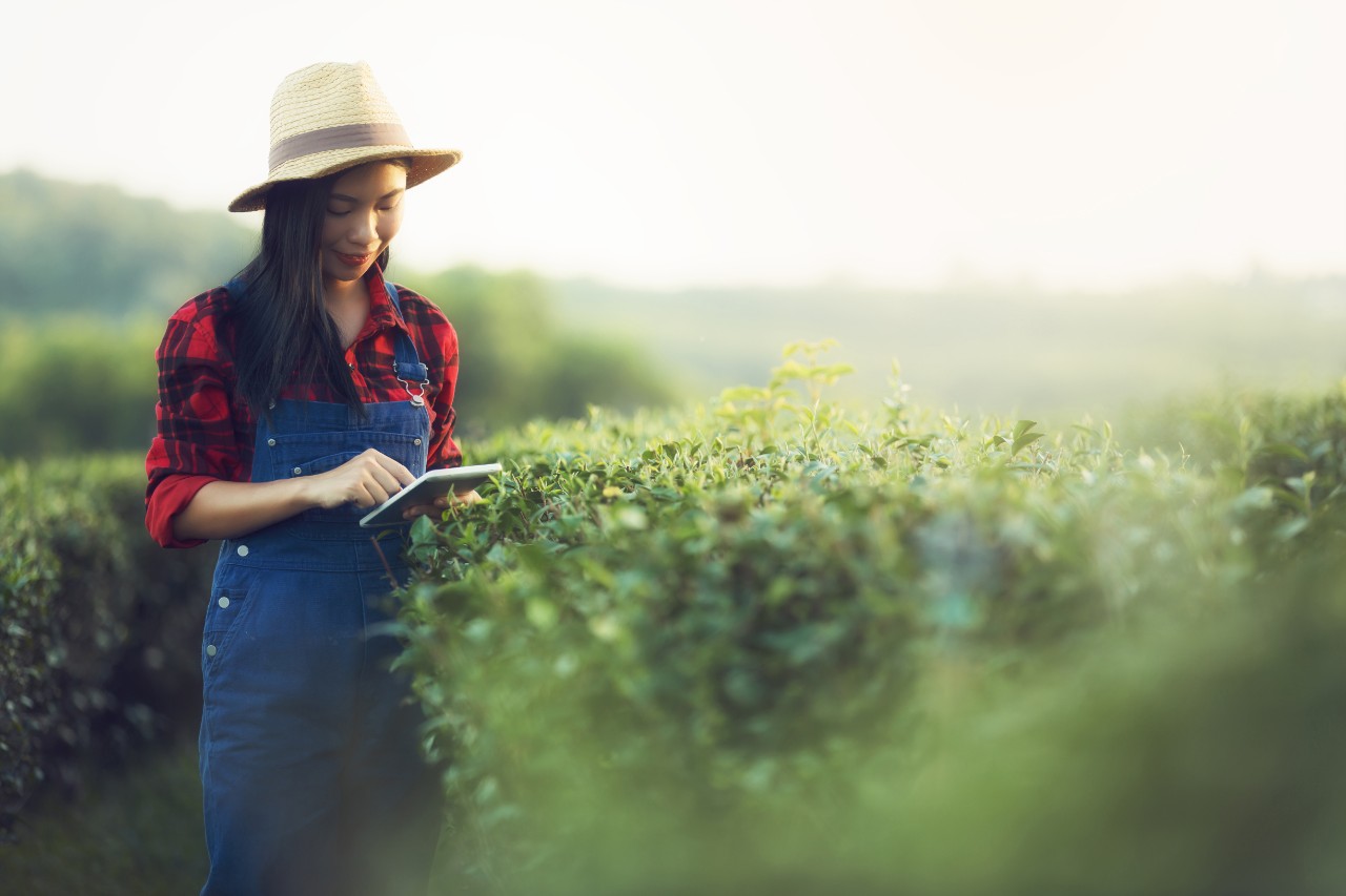 GettyImages-1030920670-1280x1280