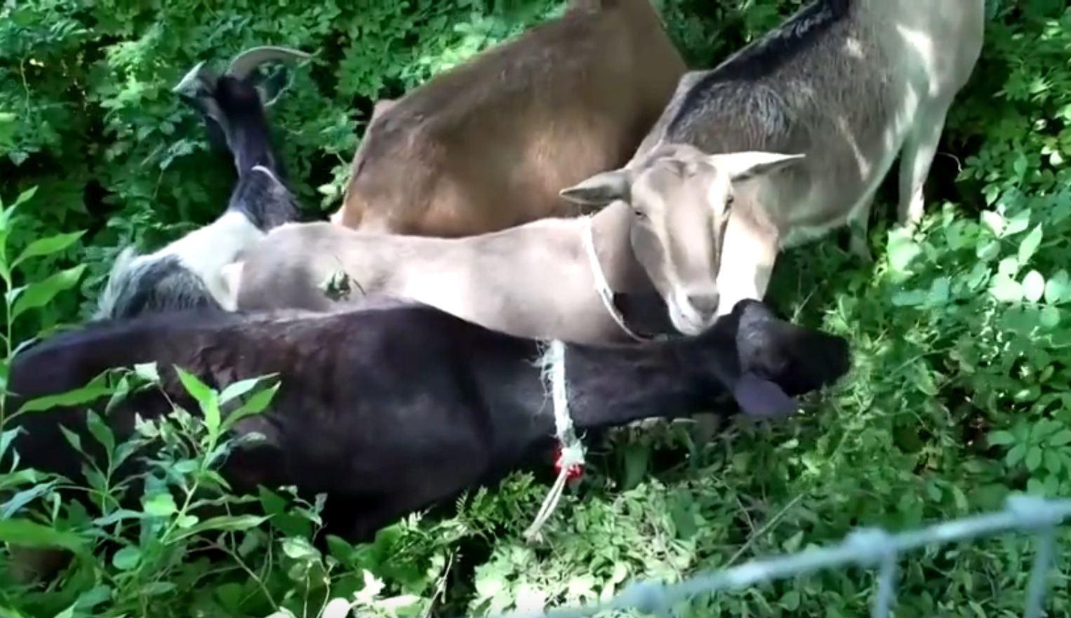 291906173_453191809584489_4932104436895557779_n