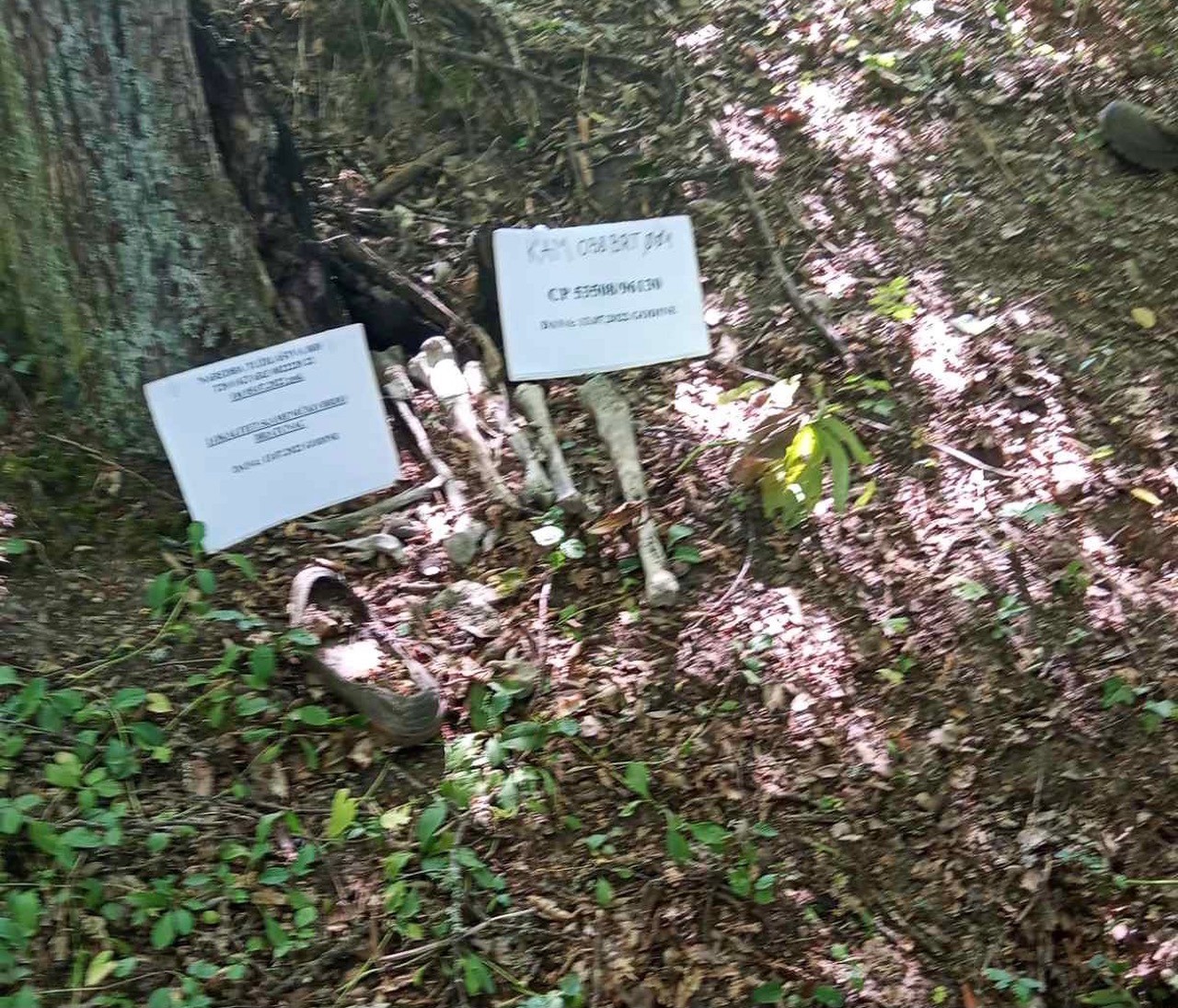 Institut za nestale BiH